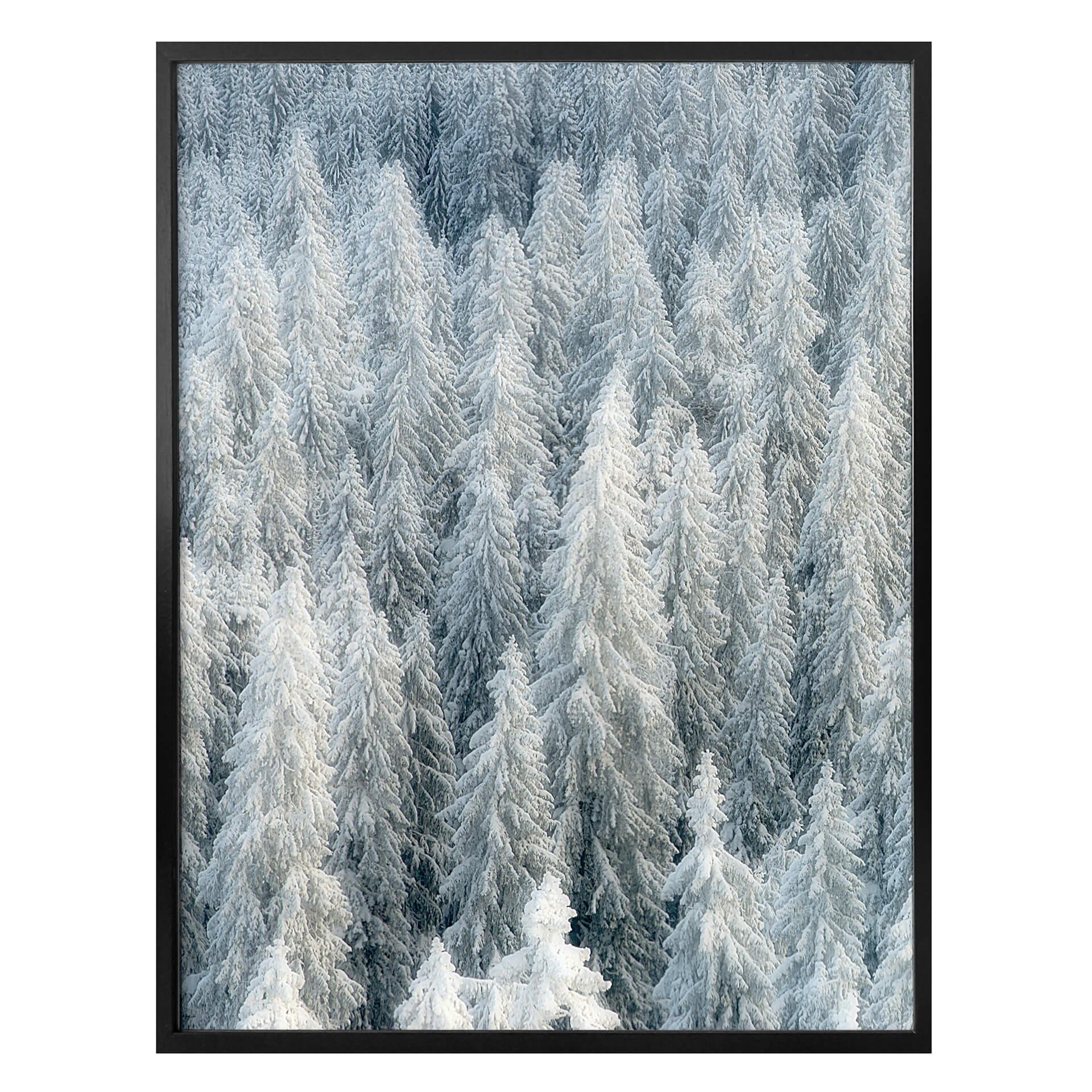 Plakat - Kalliolahti - Hvid vinter - højkant