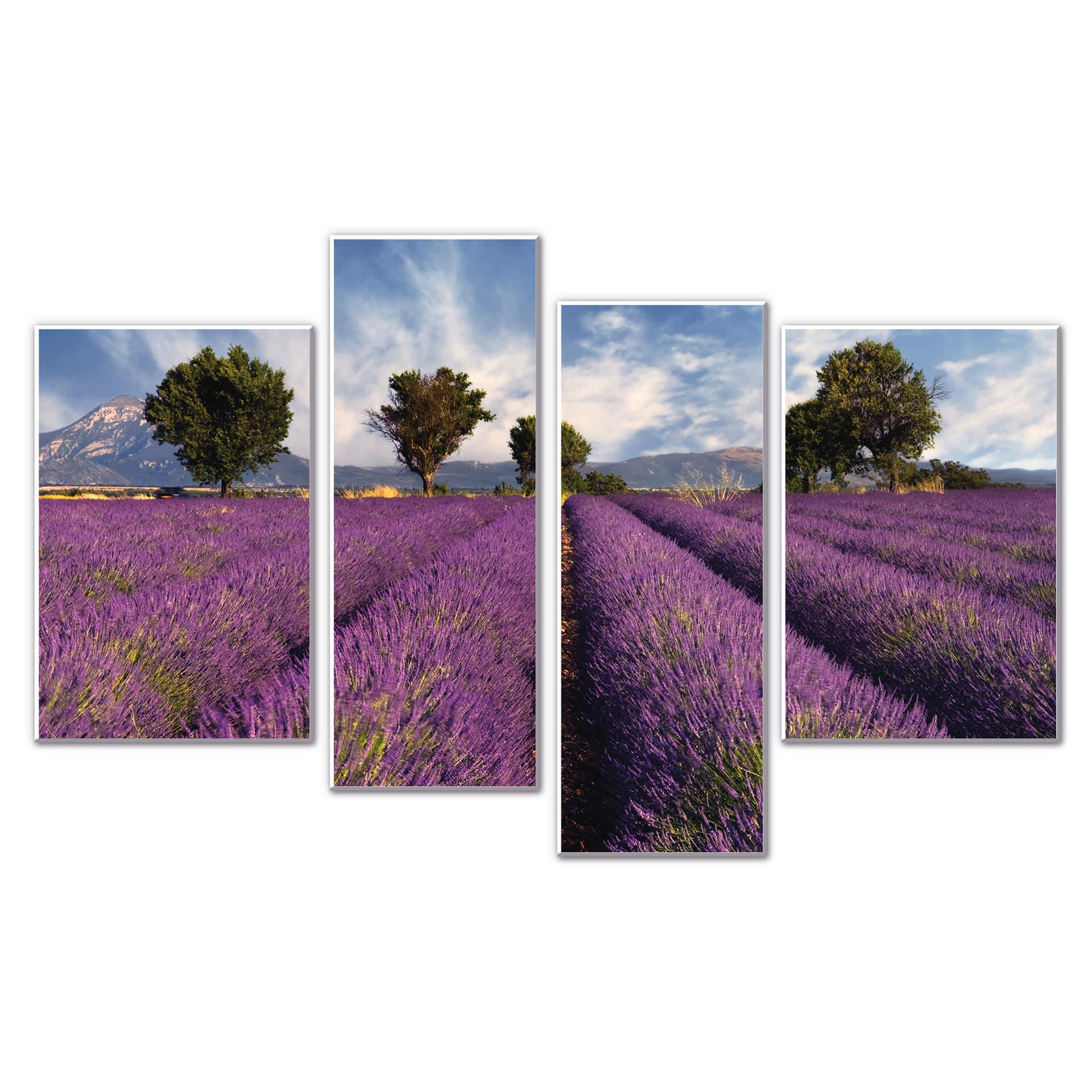 Tableau Forex - Champ de lavande (4 parties)