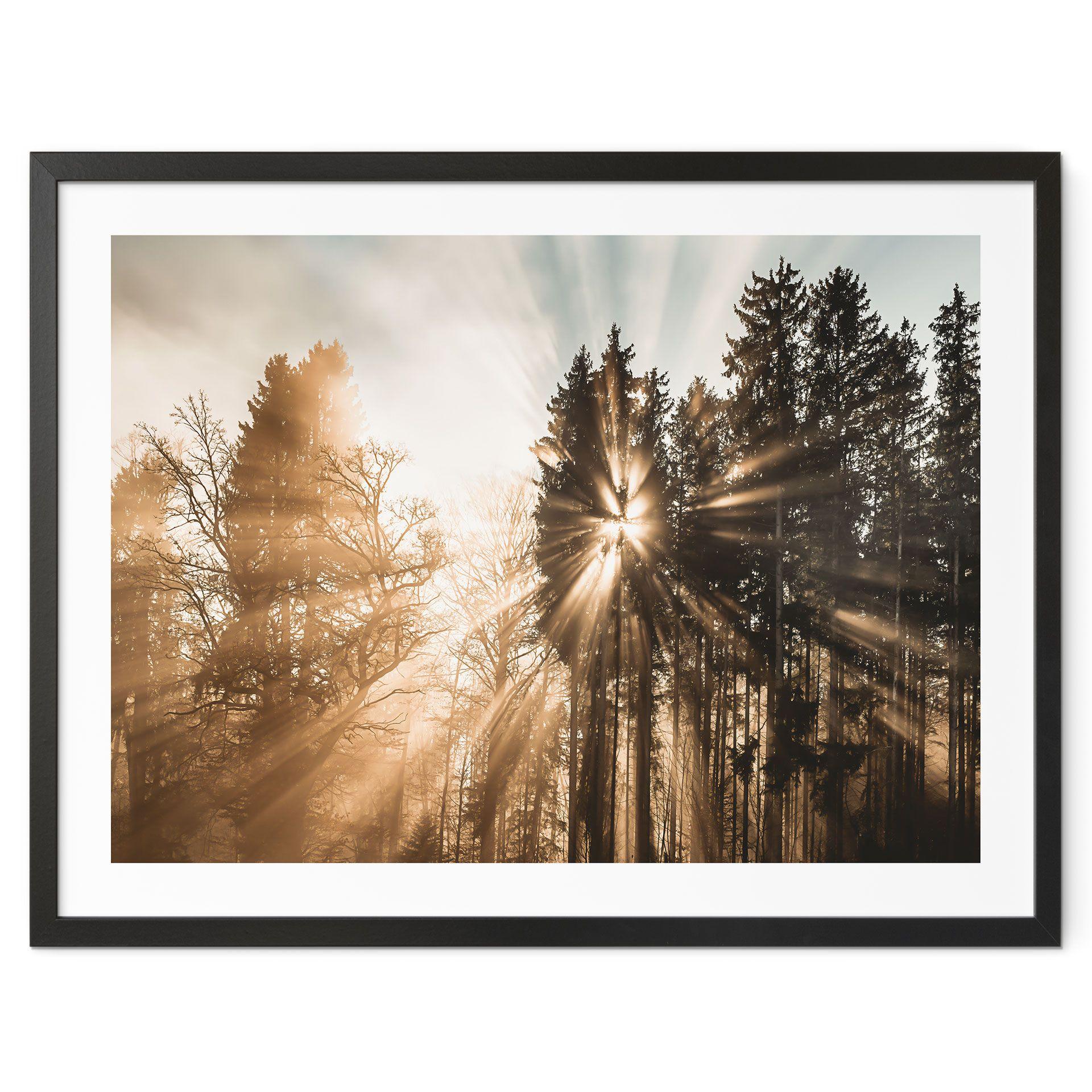 Póster sobre la naturaleza Rayos de luz en el bosque - Eisenmann
