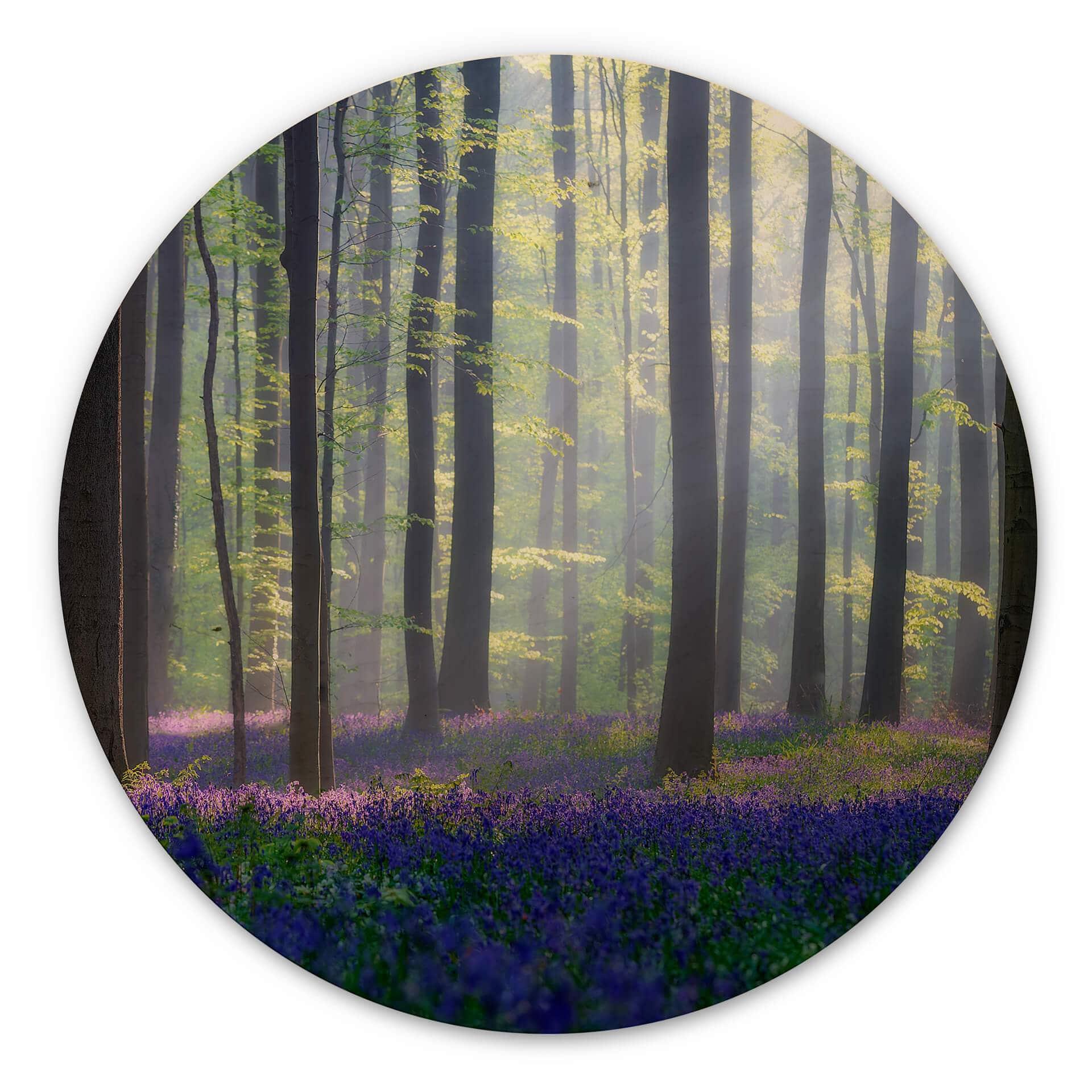 Popan Billede af træ - Klokkeblomster - Rund