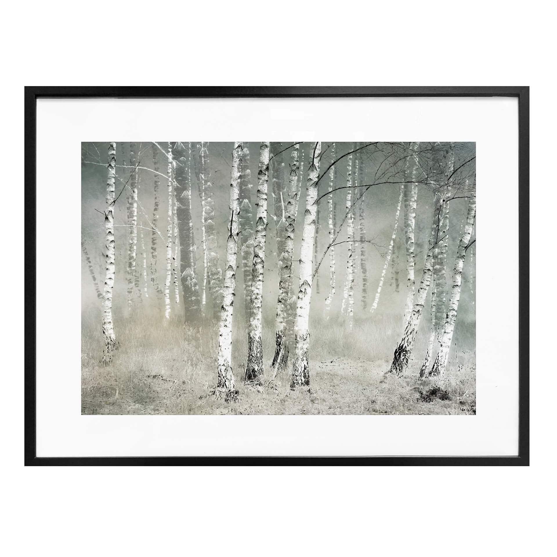 Póster Talen - Calma matinal