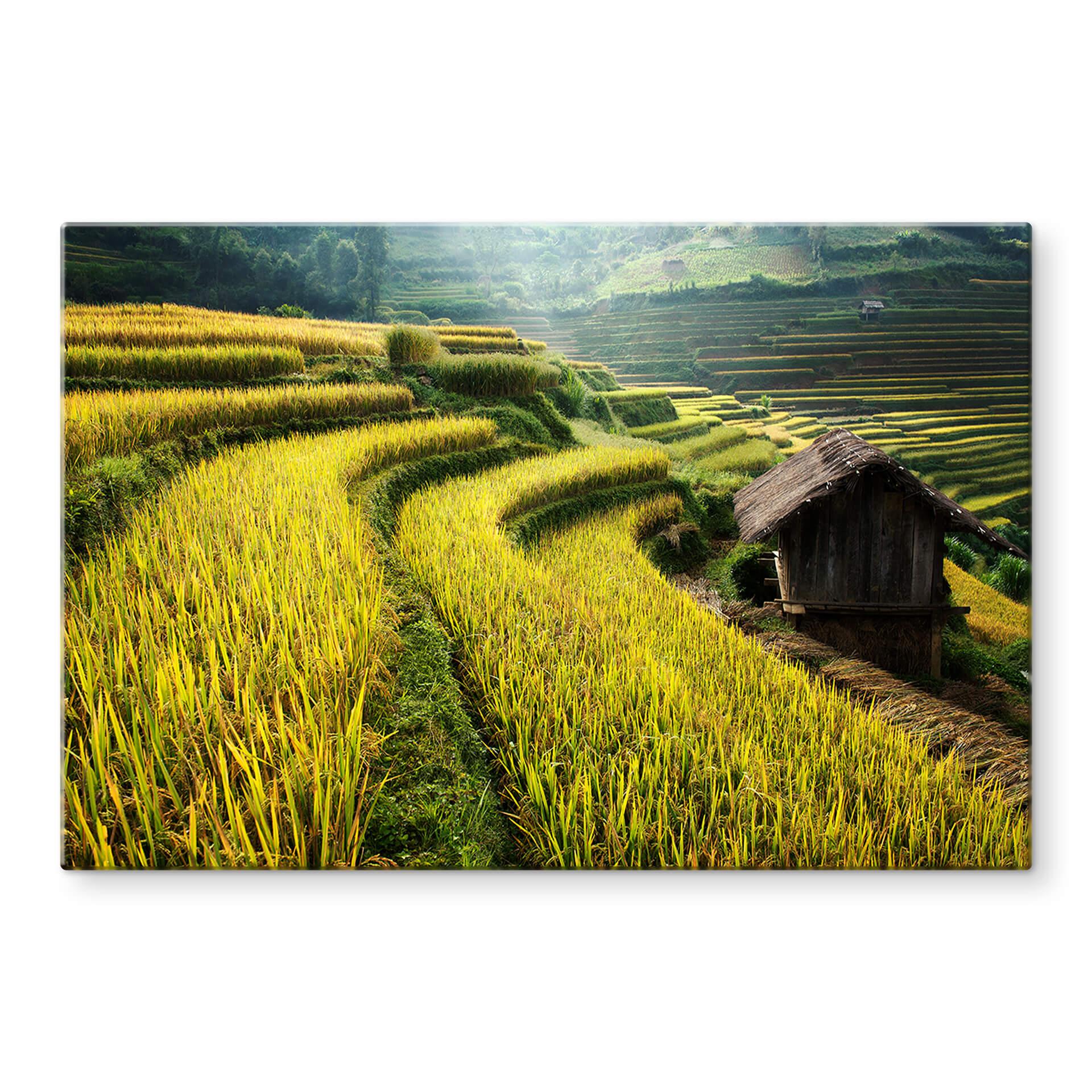 Tableau sur verre Intarob - rizières au Vietnam