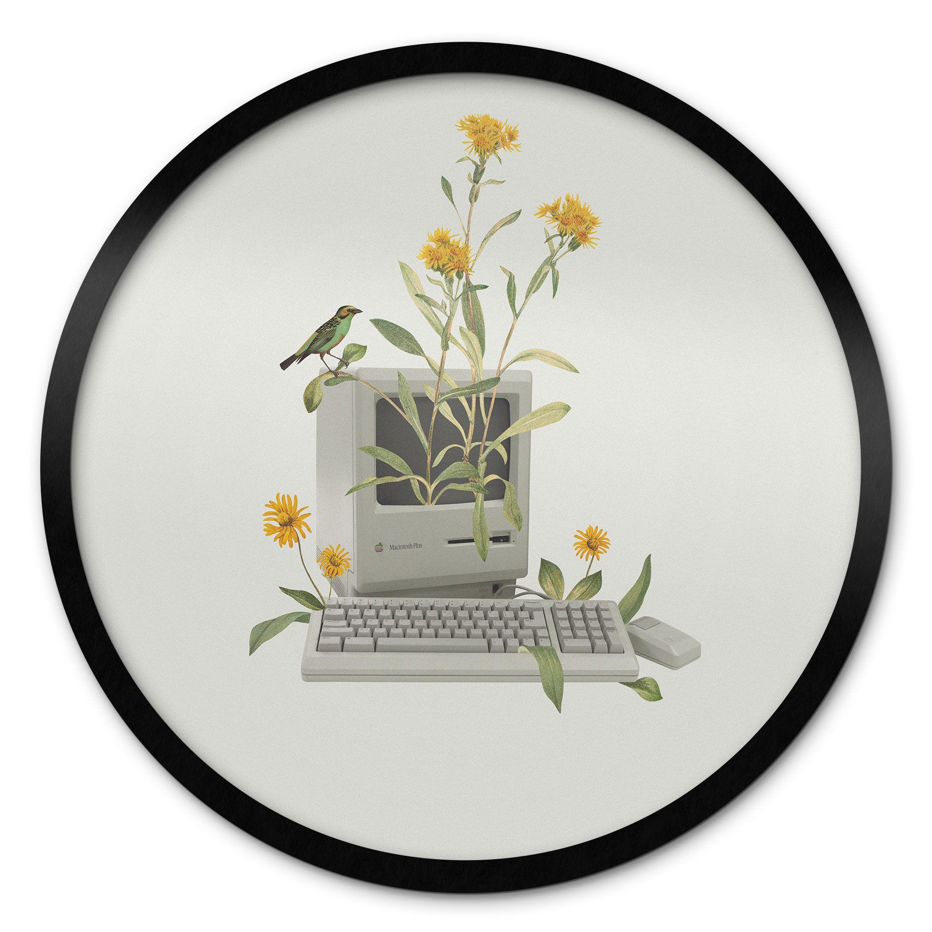 Póster Vintage Botánico Ordenador - Frida Floral Studio - Redondo