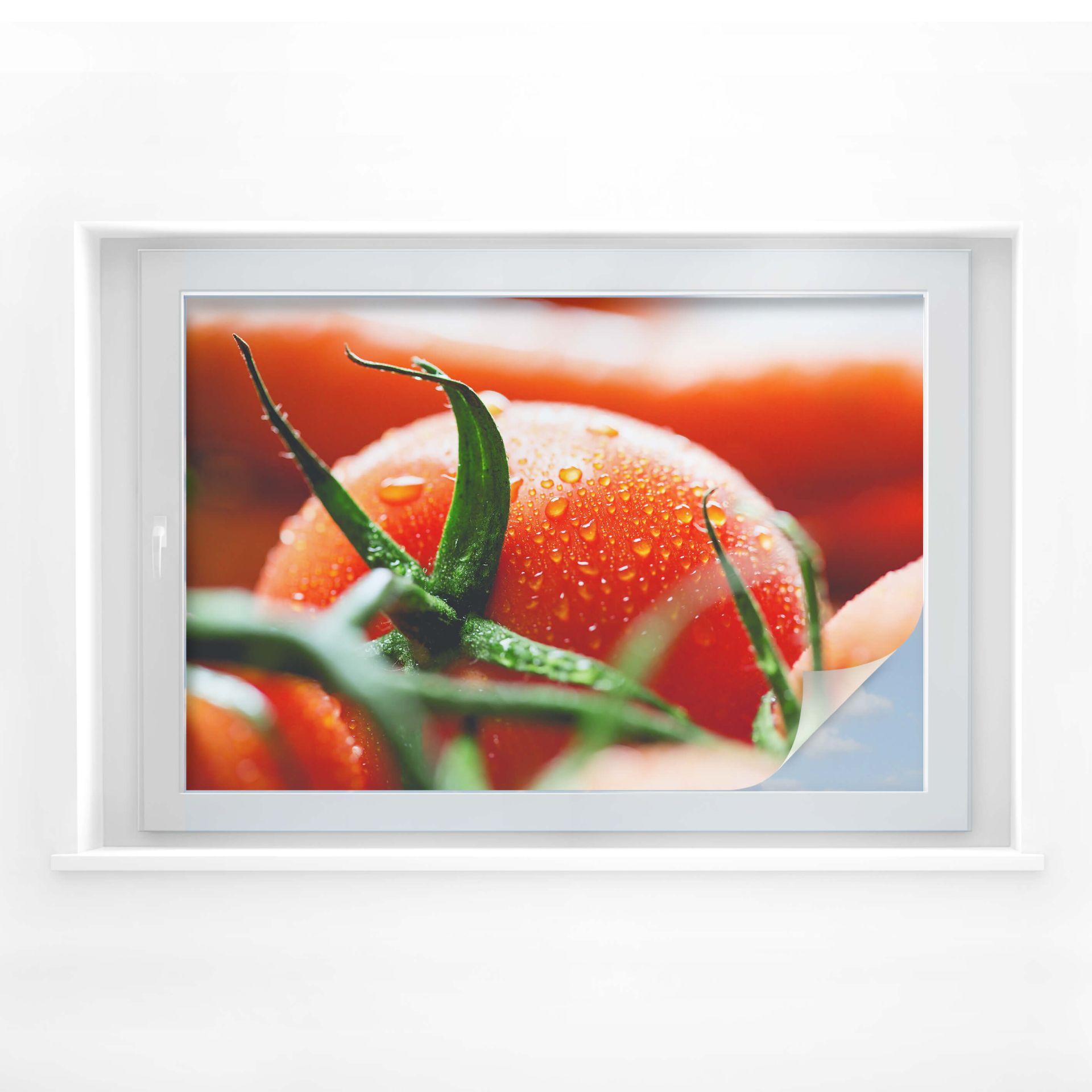 Película sobre la intimidad del tomate fresco