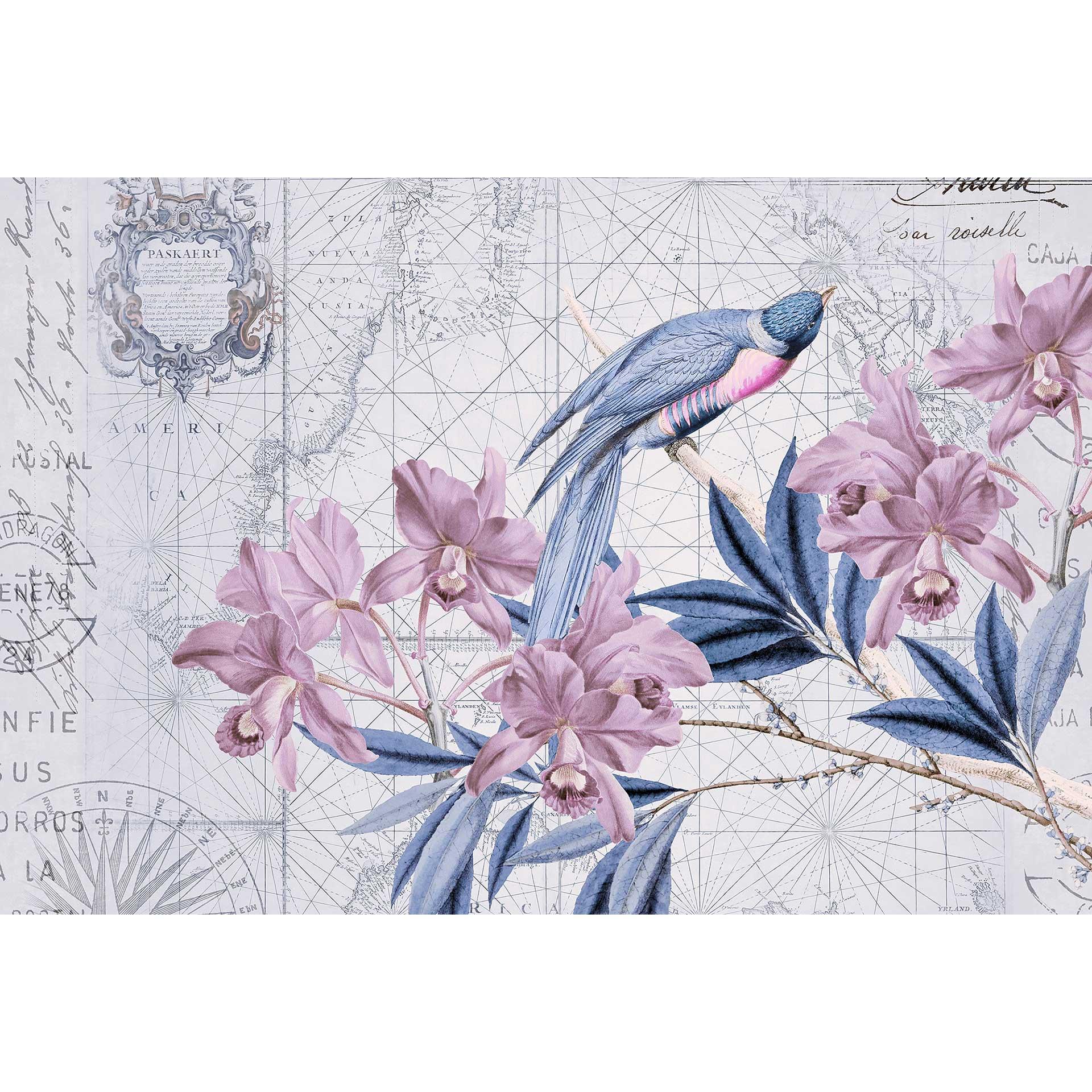 Livingwalls papier peint photo ARTist Bird Discovery avec fleur oiseaux et carte du monde bleu