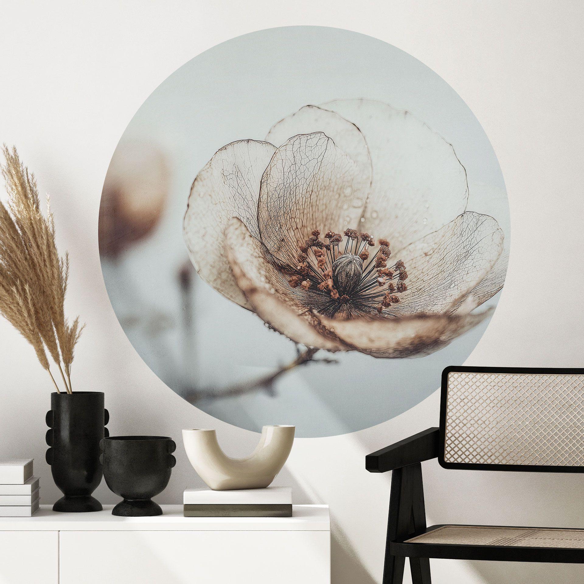 Vinilo decorativo flores secas beige poesía de la naturaleza - Treechild - Redondo