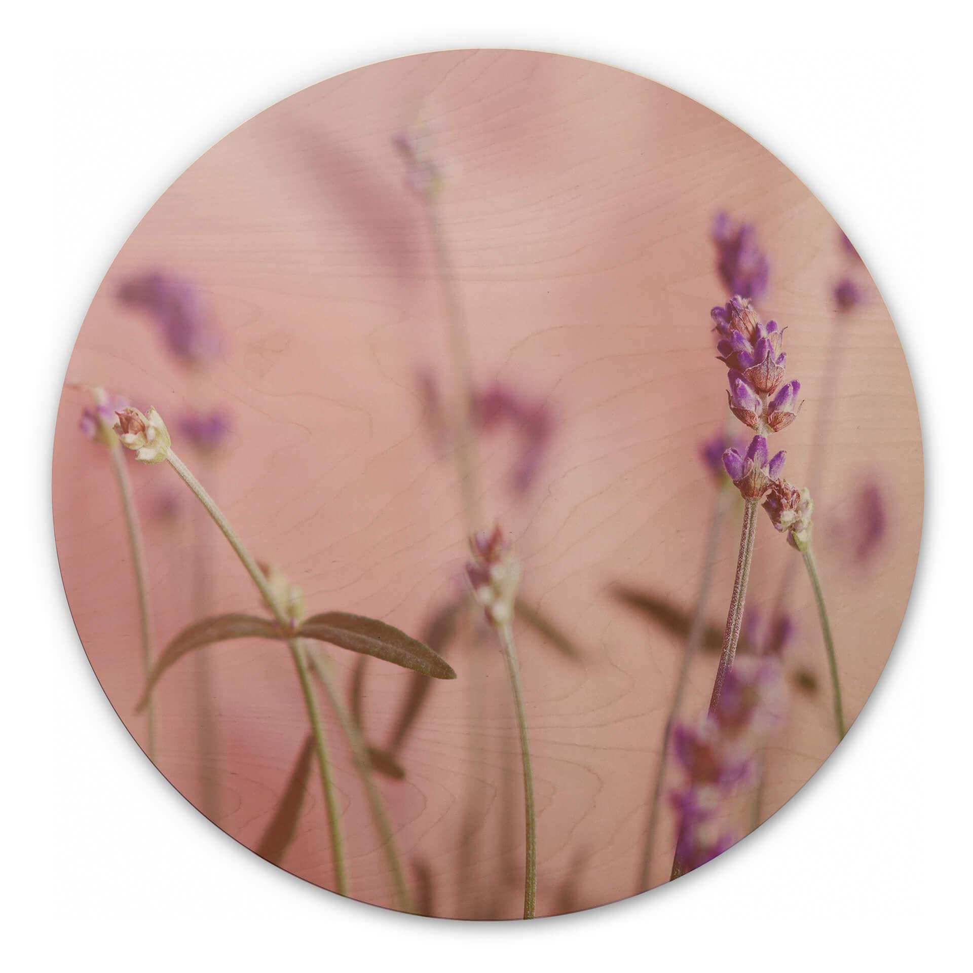 Billede af træ delikat lavendel - rund