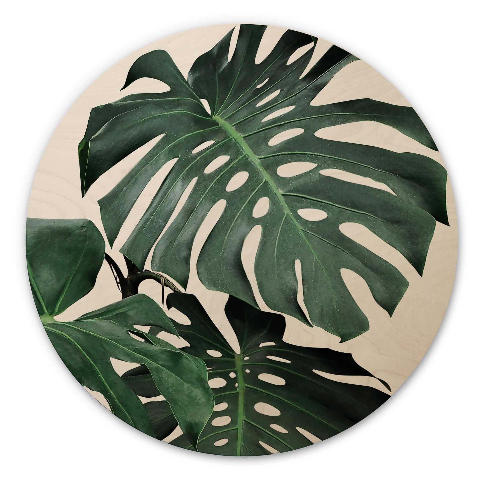 Billede af træ Sisi & Seb - Monstera - Rund
