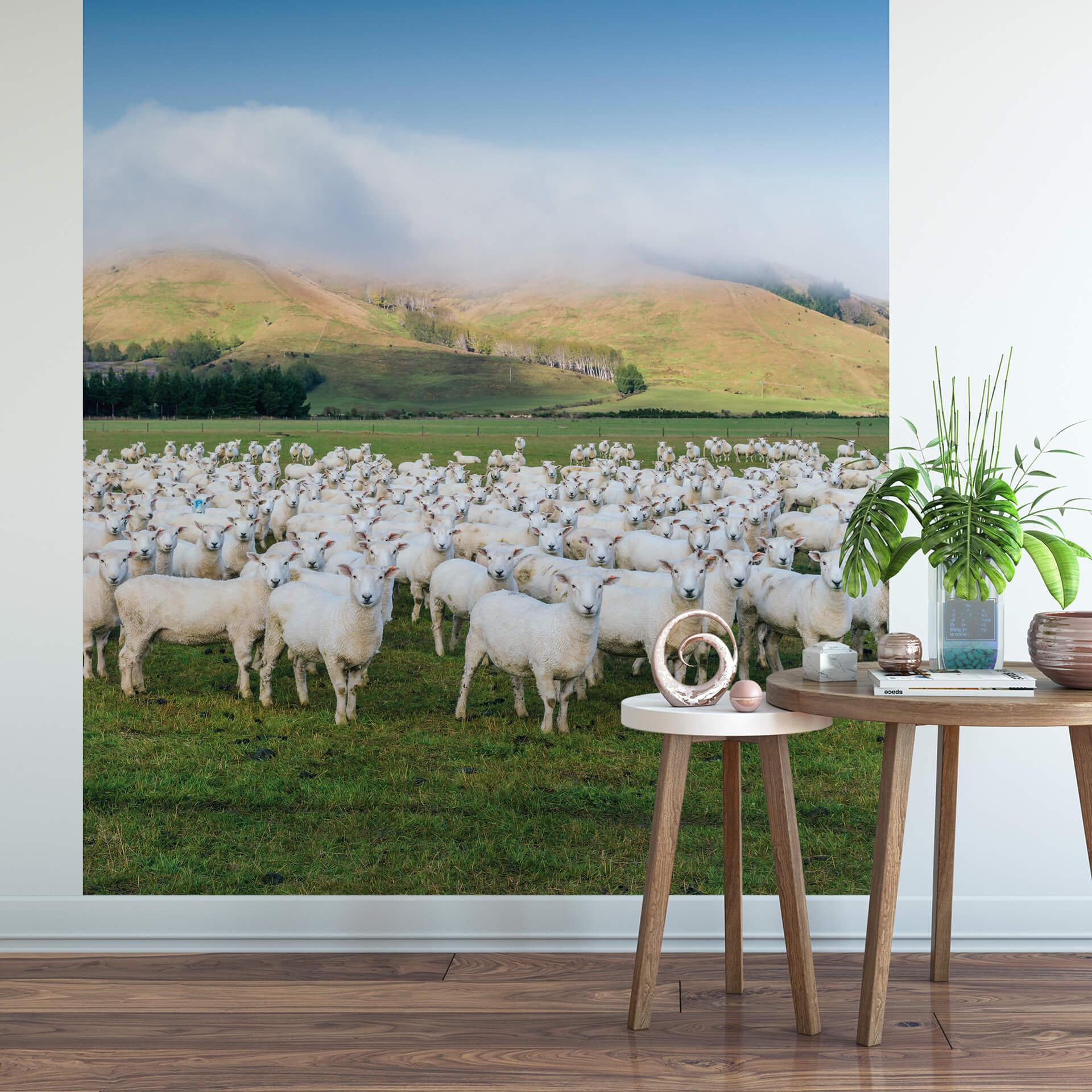 Fototapet Colombo - Fåreflok i New Zealand - 192x260 cm