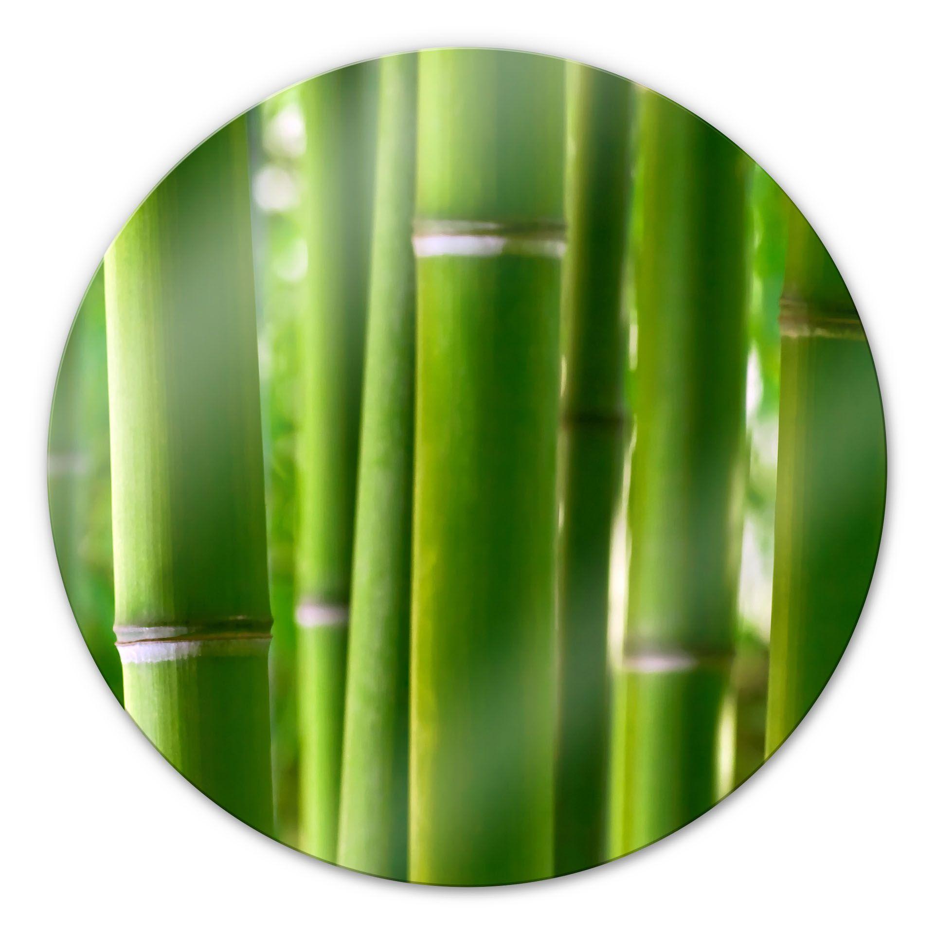 Tableau en verre - Forêt de bambous - Rond