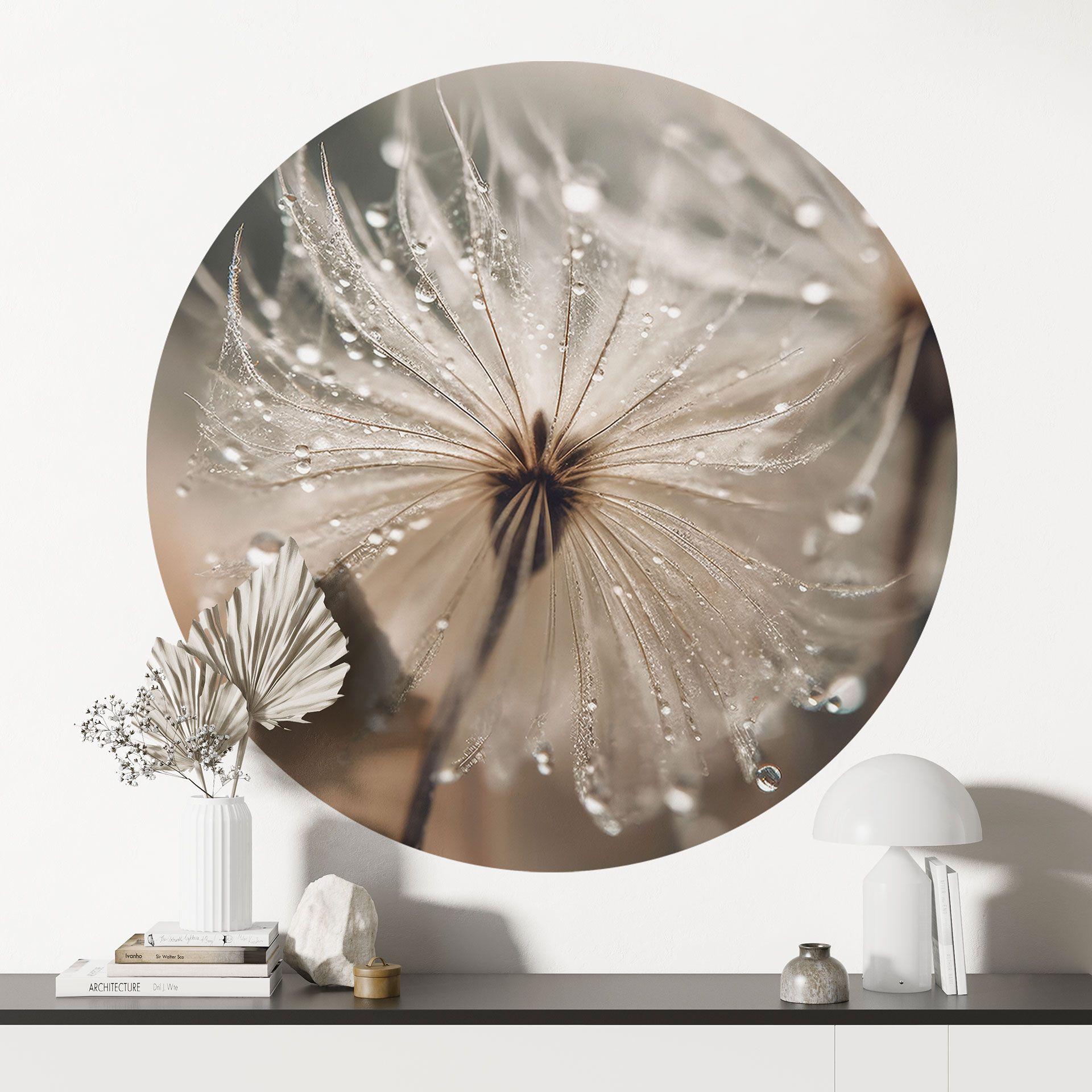 Vinilo decorativo Diente de león en rocío matutino - Treechild - Redondo