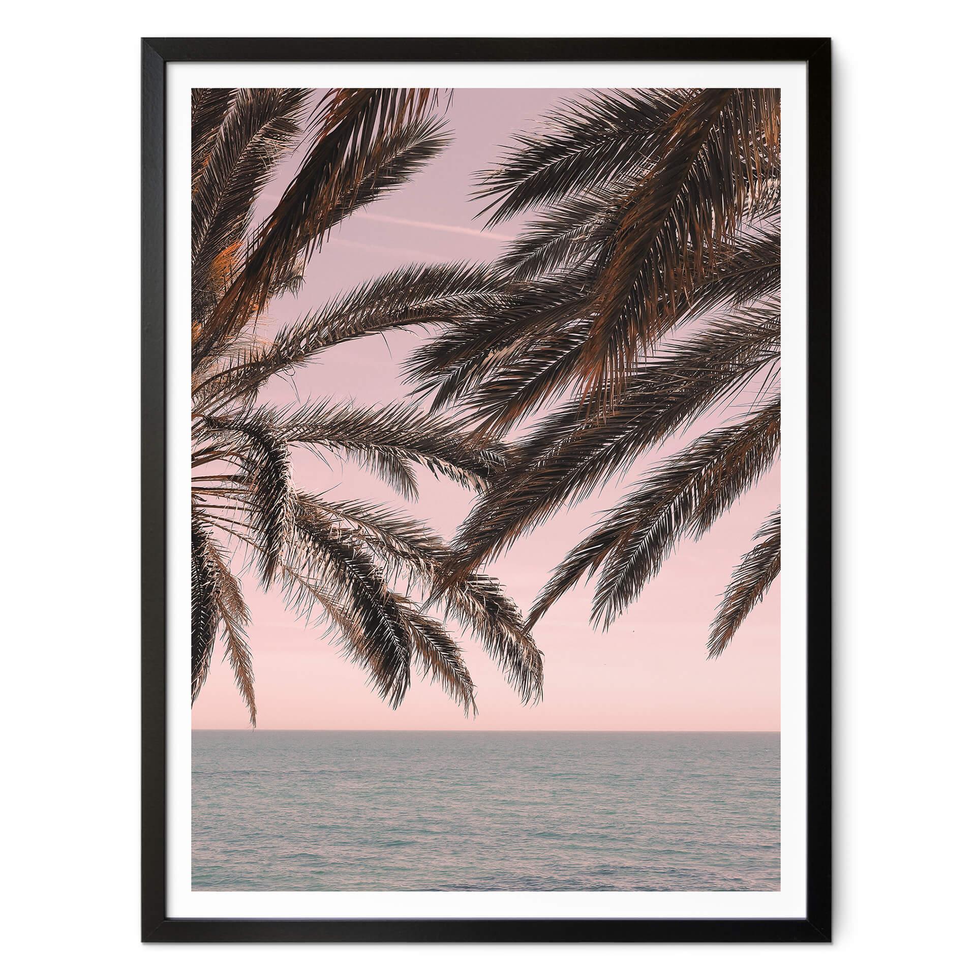 Póster 1X Estudio - Palmeras