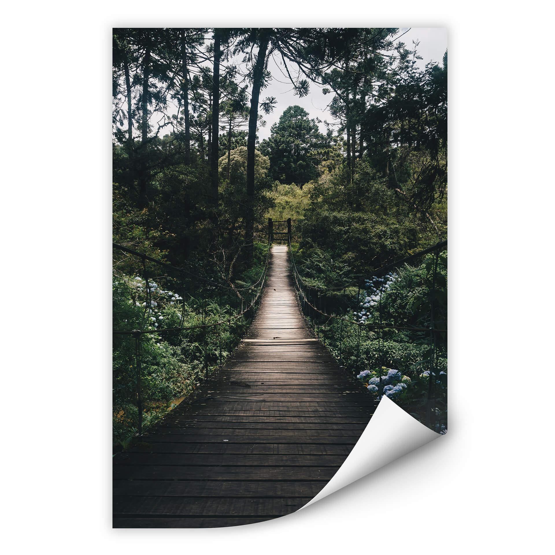 Zelfklevende Poster  Weg in het bos