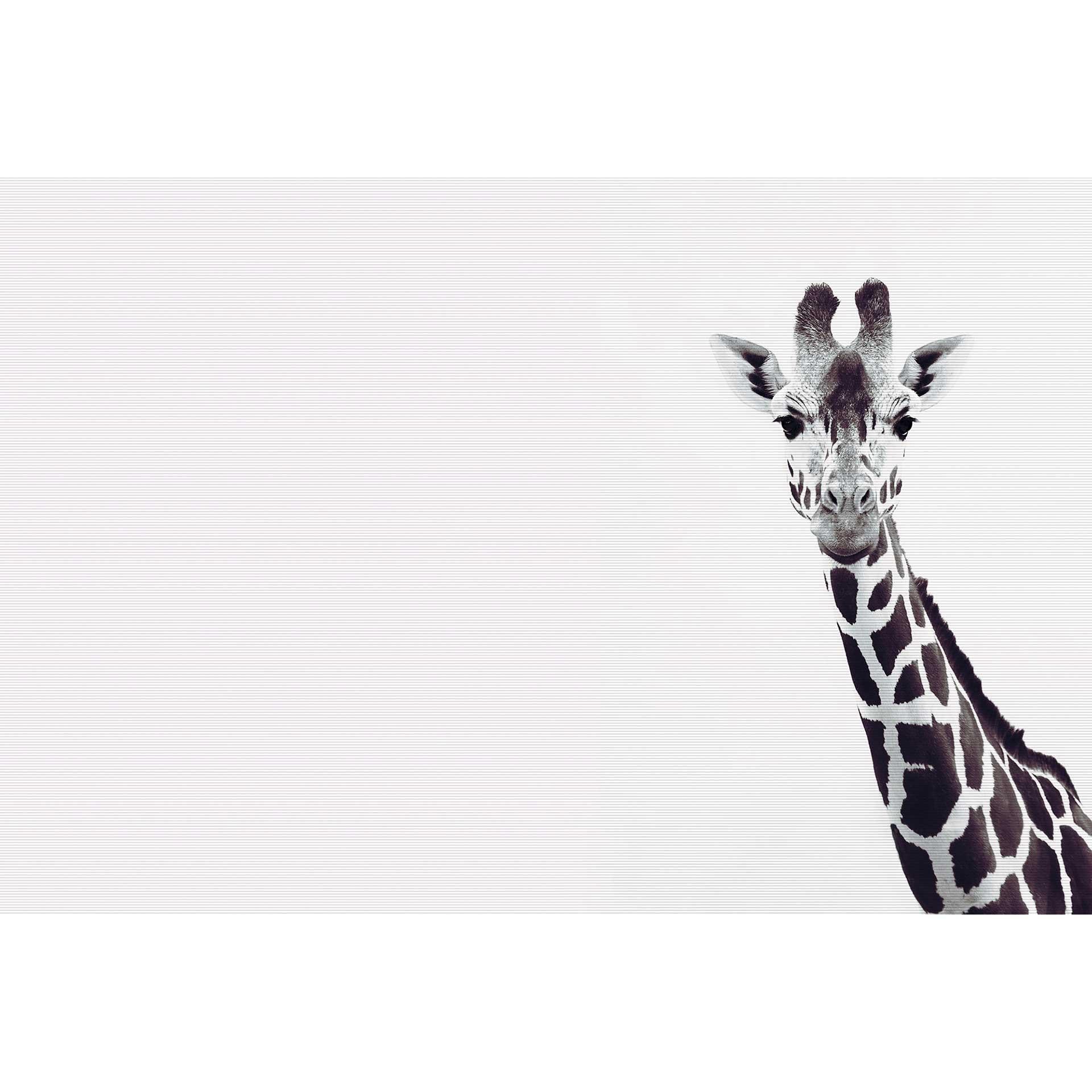 Livingwalls papier peint photo ARTist Portrait d'une girafe