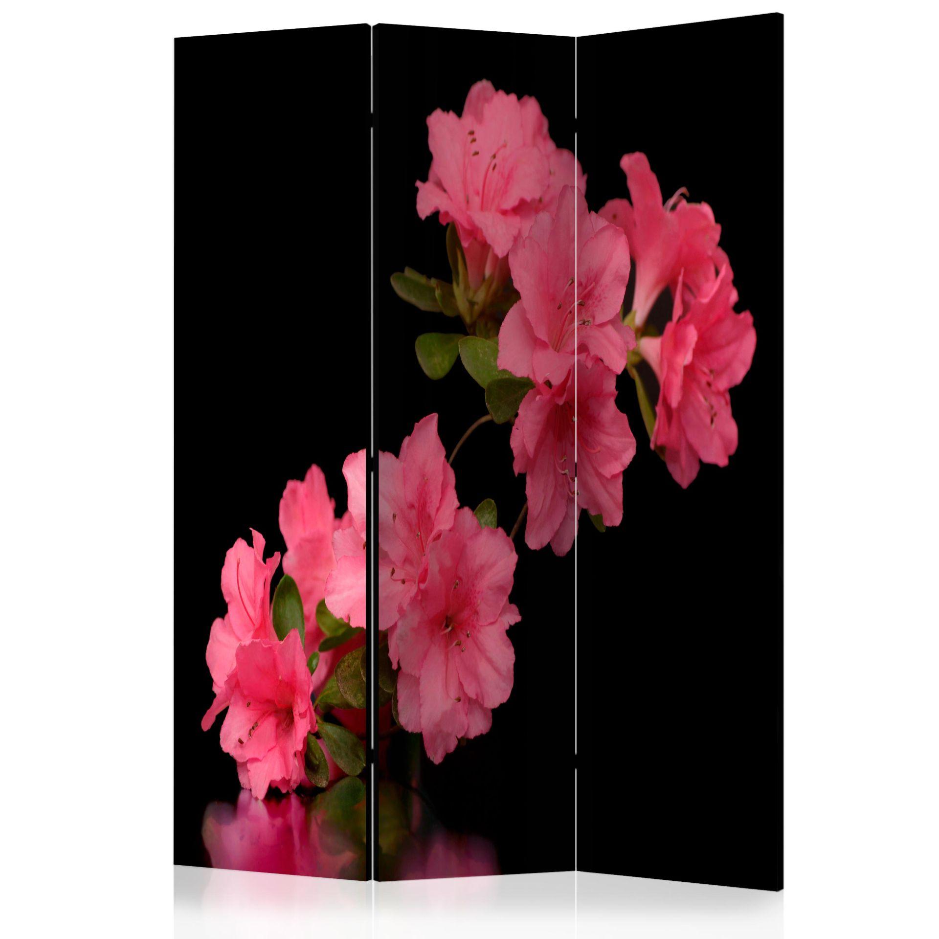 Skærmvæg - Azalea i sort, 3-delt