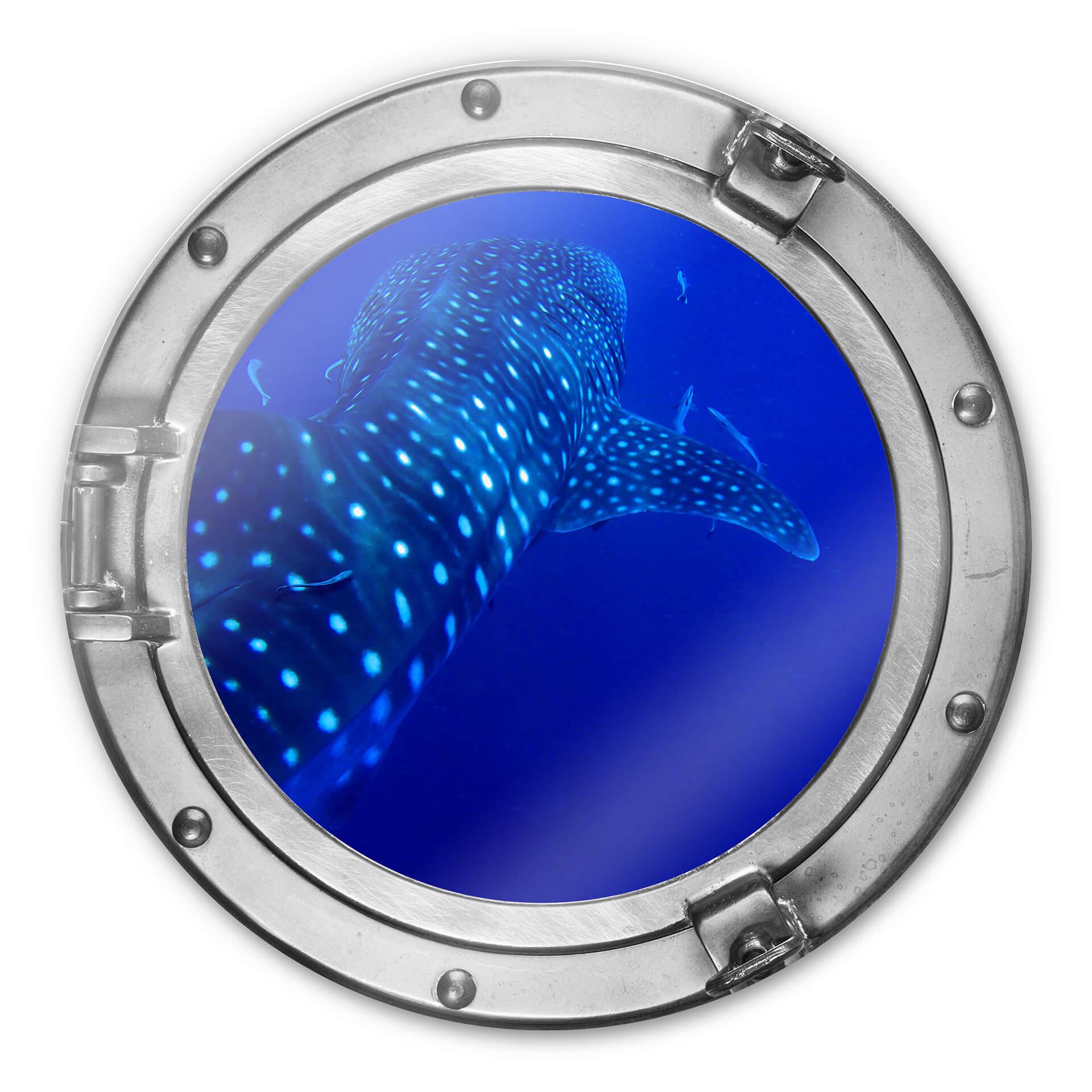 Glasschilderij rond 3D optiek - Ocean Life