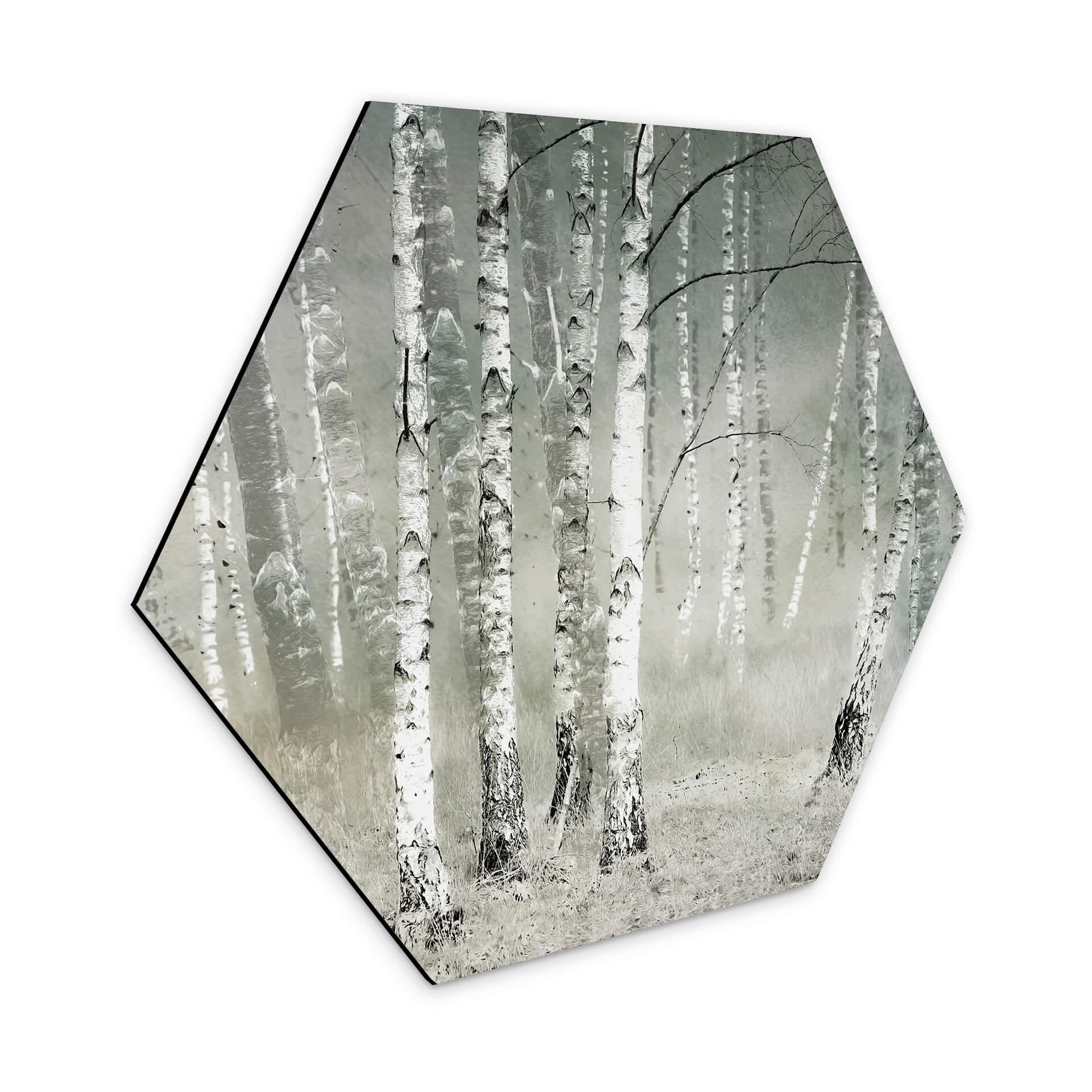 Hexagone - Tableau sur alu-Dibond Talen - Repos matinal