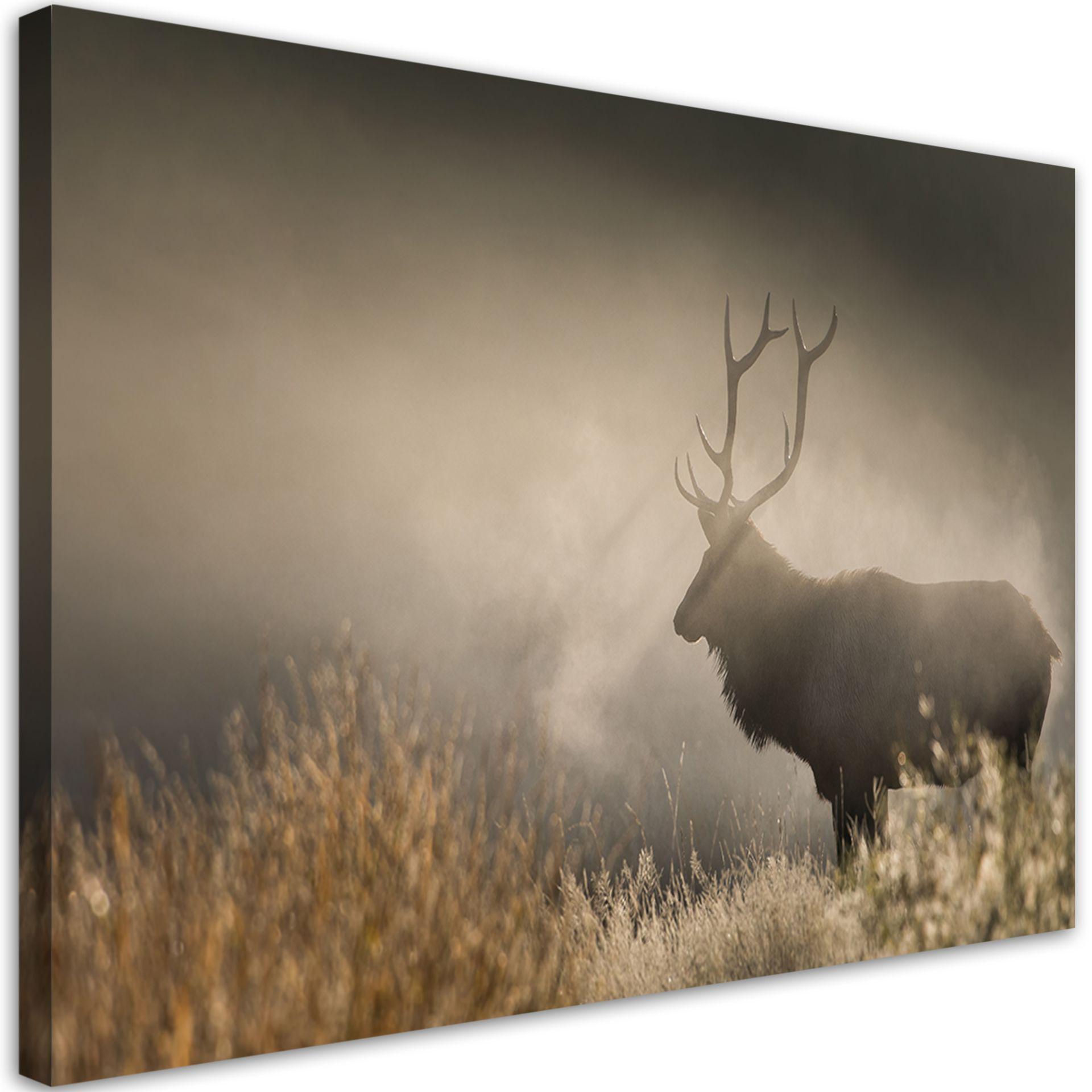 Canvasbillede, Hjort i tågen natur