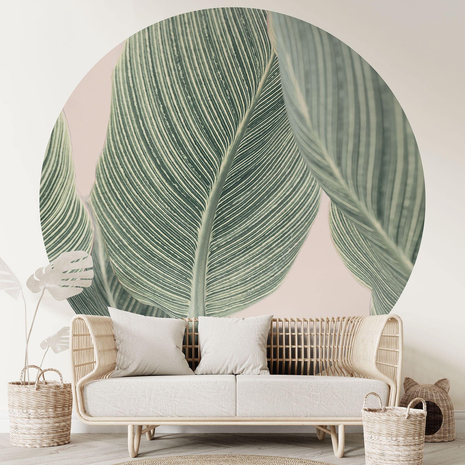 Tapet cirkel Calathea-plante - Sisi & Seb - vliesetapet/selvklæbende non-woven tapet