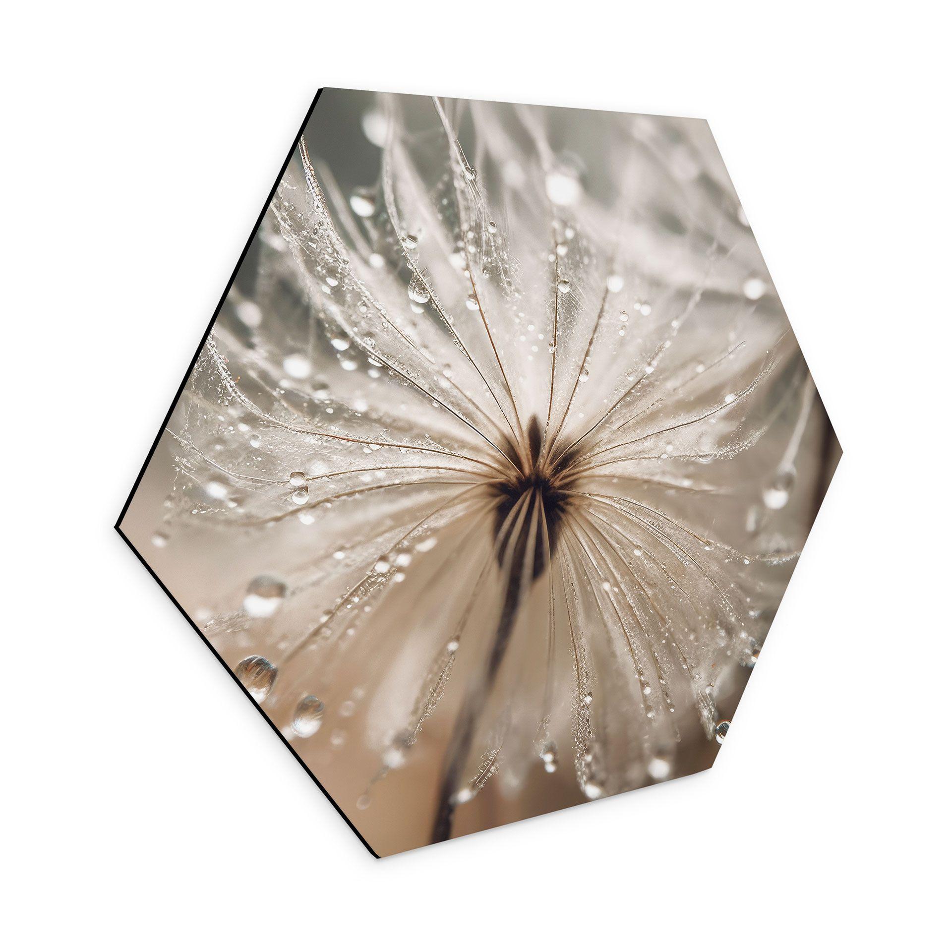 Hexagon Dibond Paardenbloem in ochtenddauw - Treechild