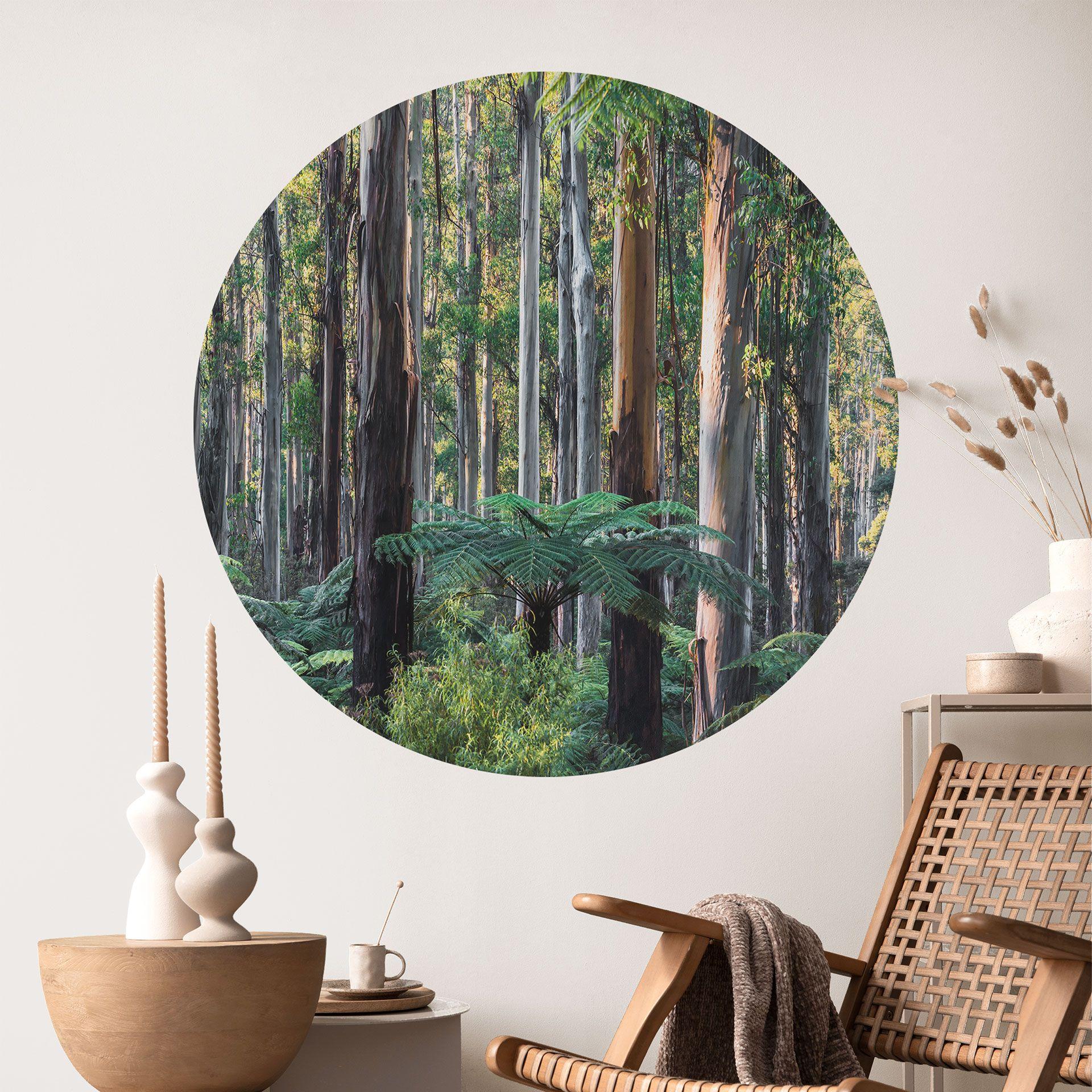 Vinilo decorativo Bosque de eucaliptos en Yarra Ranges - Colombo - Redondo