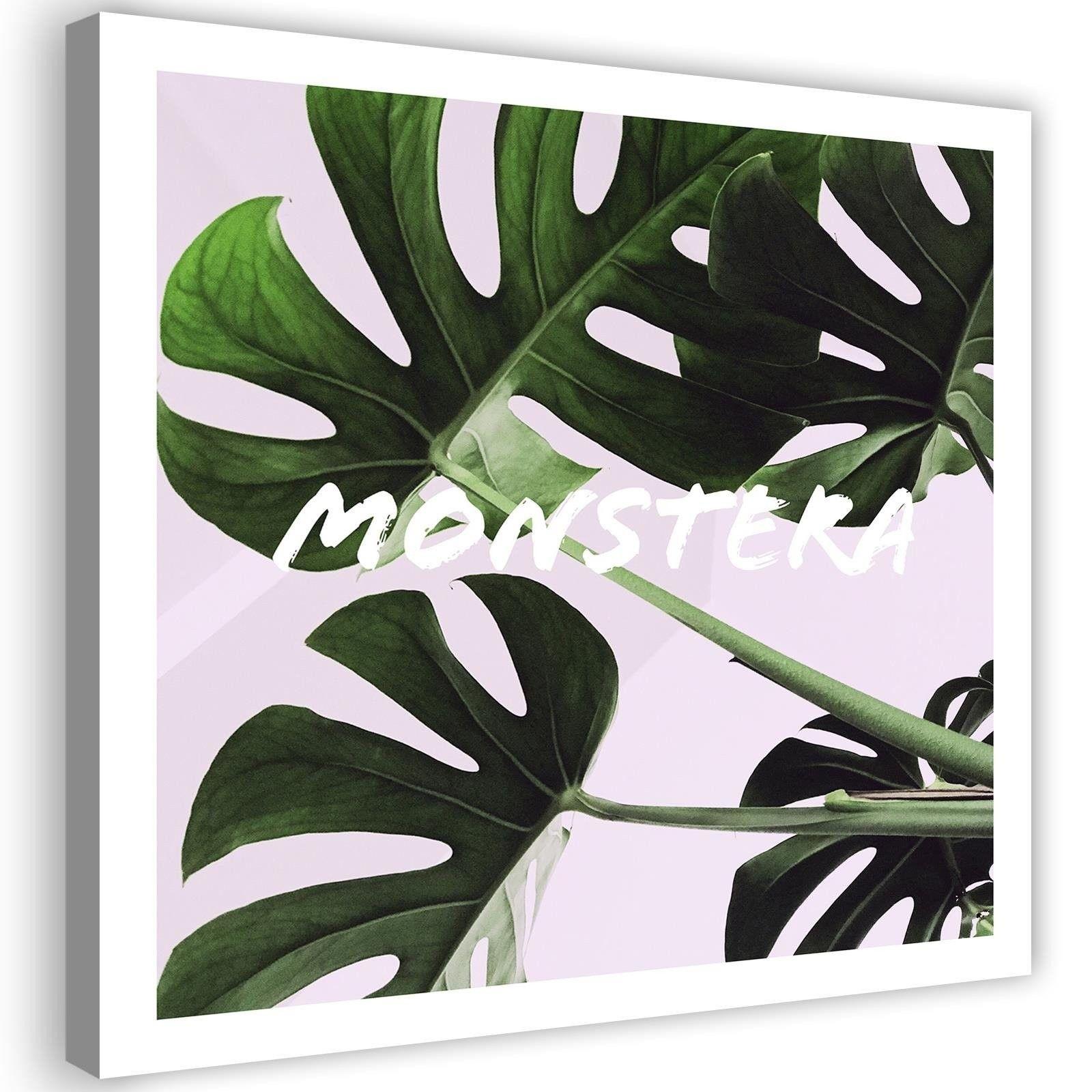 Canvasbillede, Monstera eksotiske blade