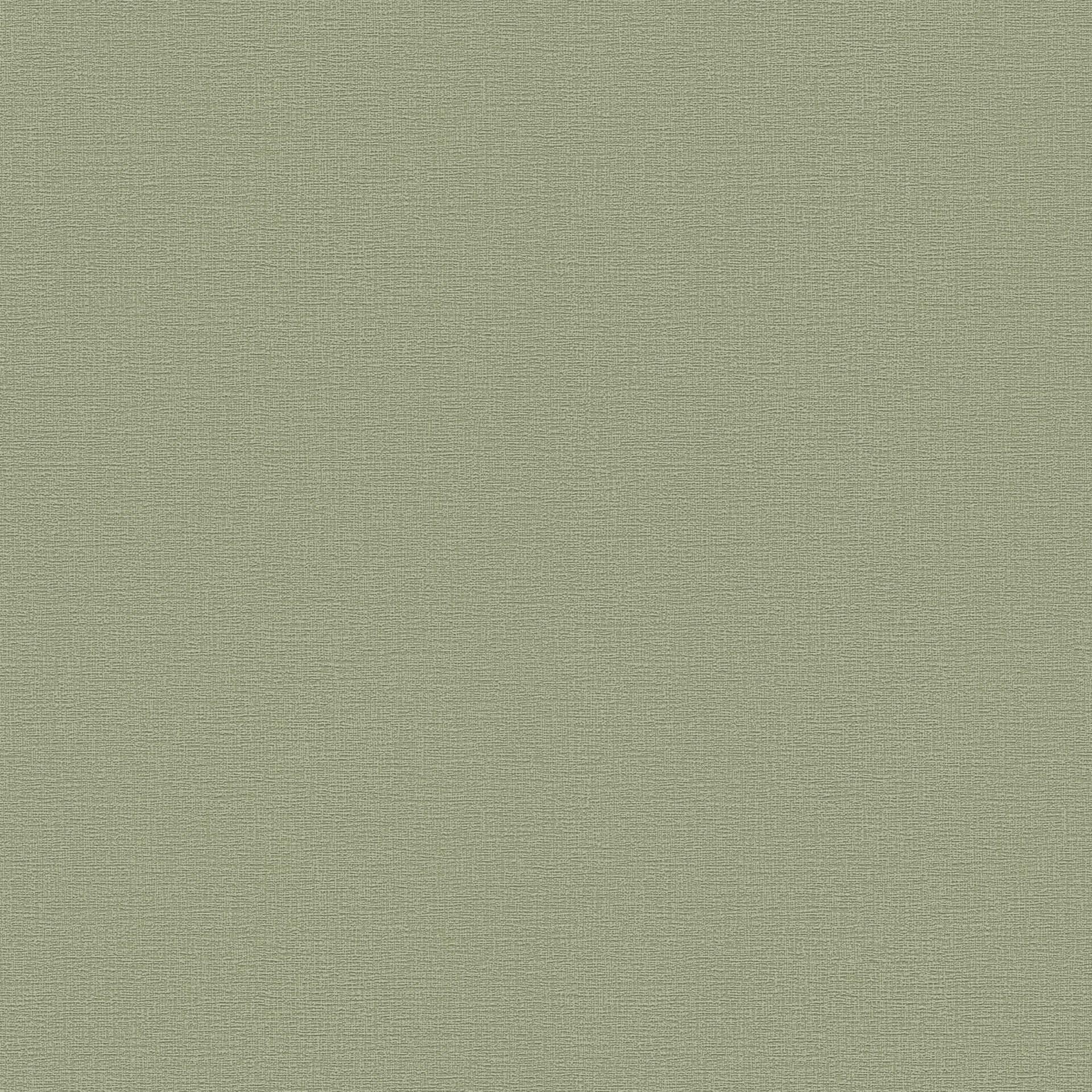 A.S. Création Vliestapete Greenery Tapete Uni grün