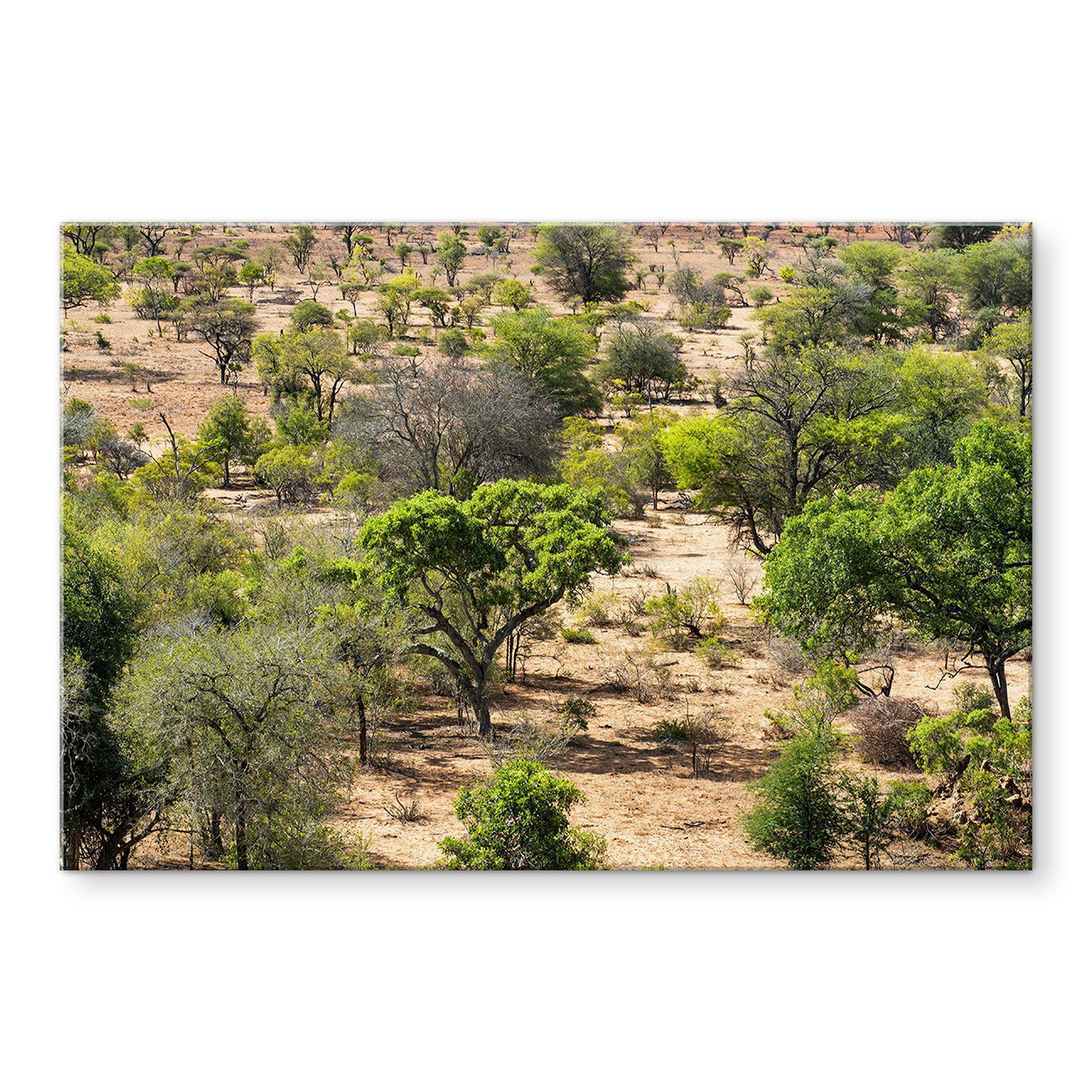 Billede af savannelandskab i Afrika - Hugonnard – print på aluminium (Alu-Dibond)