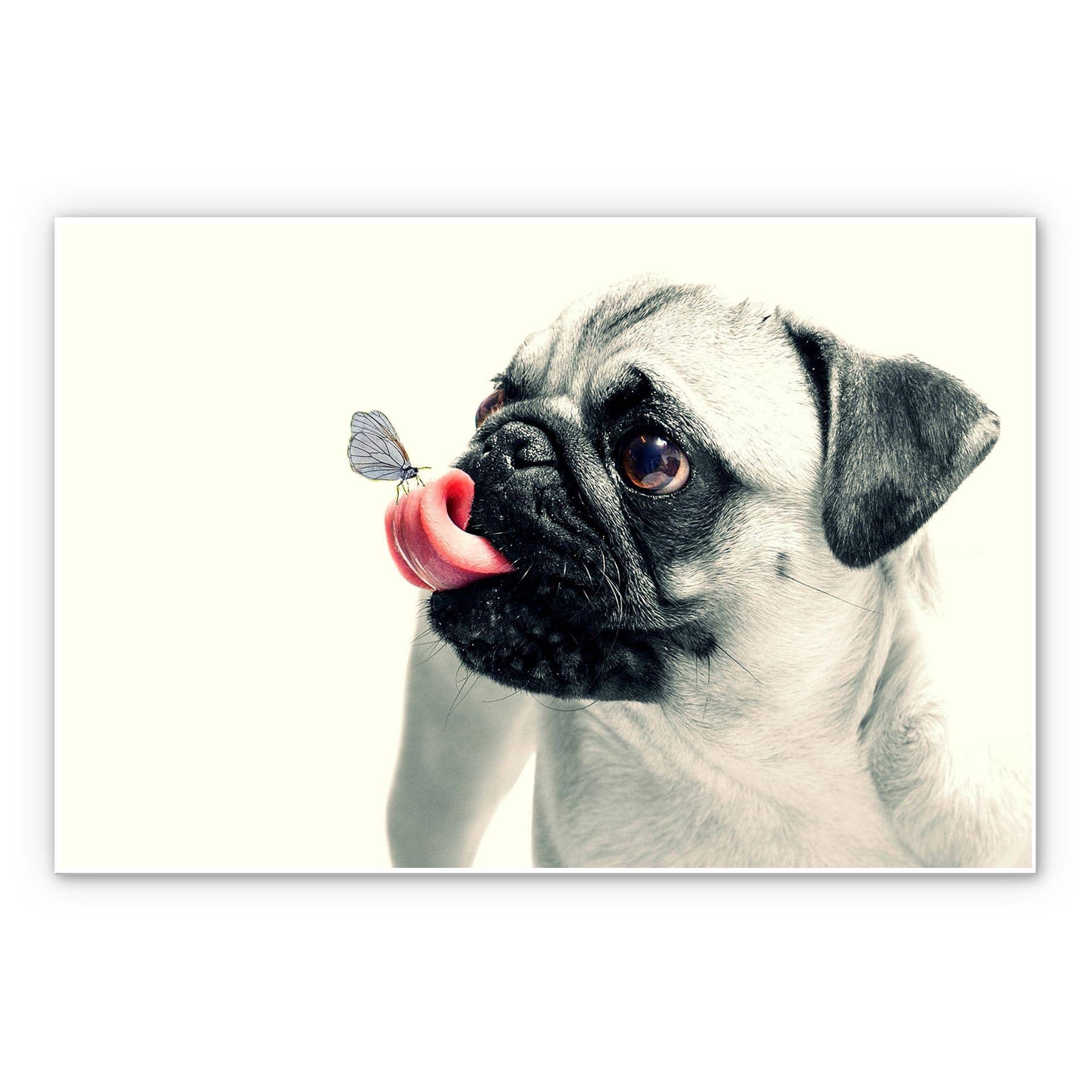 Tableau Forex- Affection animale