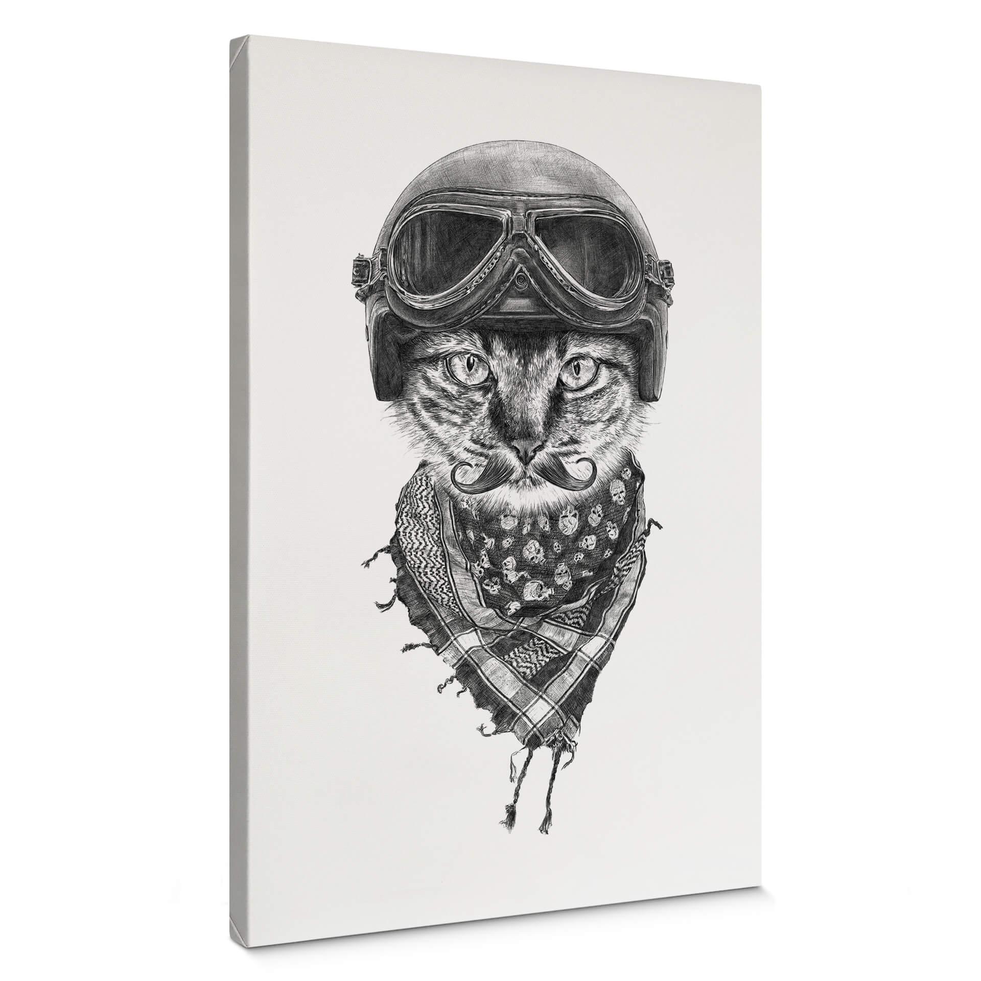 Lienzo Kools - Biker Cat