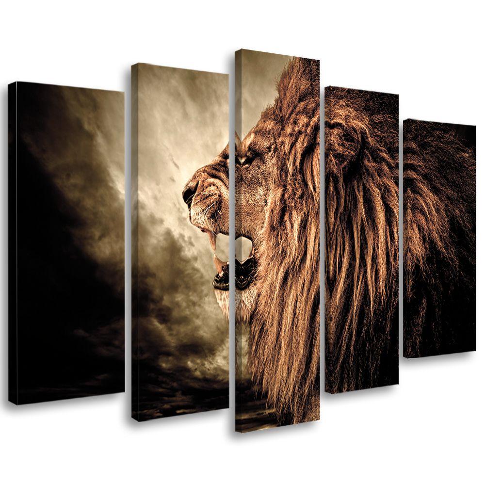 5 stykke lærredsprint, Lion Africa Animal Nature