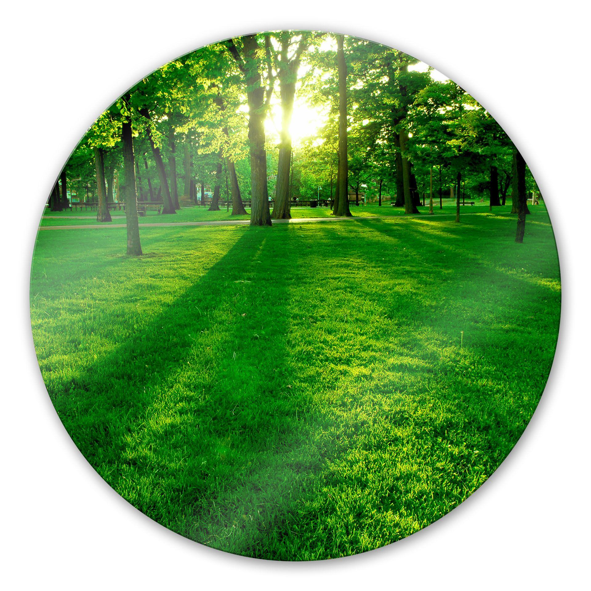 Stampa su vetro Parco verdeggiante - tondo