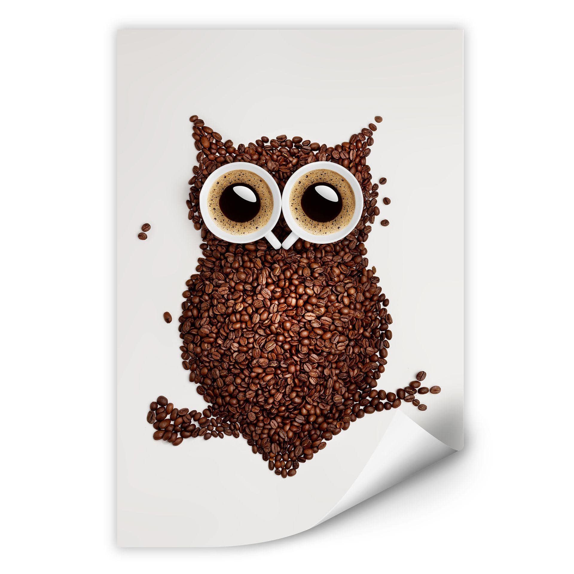 Zelfklevende Poster - Coffee Owl