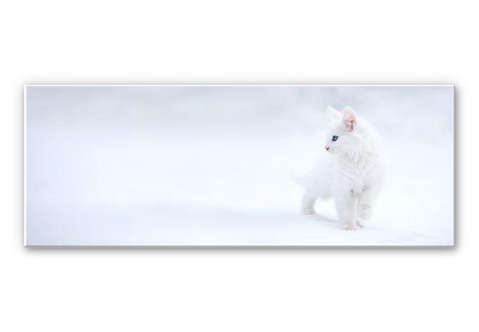 Tableau Forex - Prexus - Plus blanc que neige