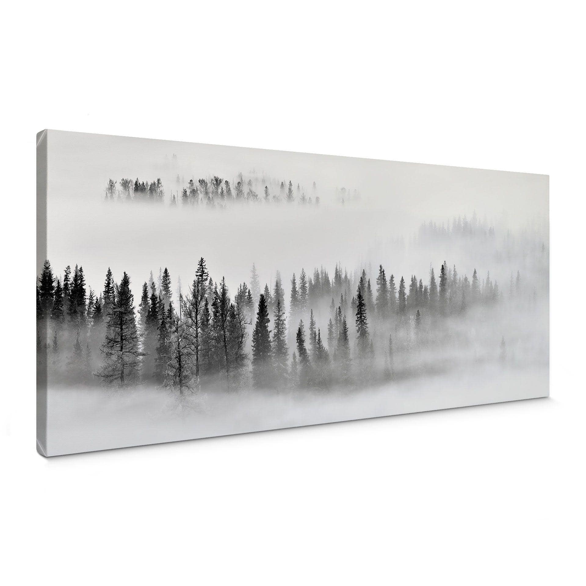Tableau sur toile Xu - Foggy Forest
