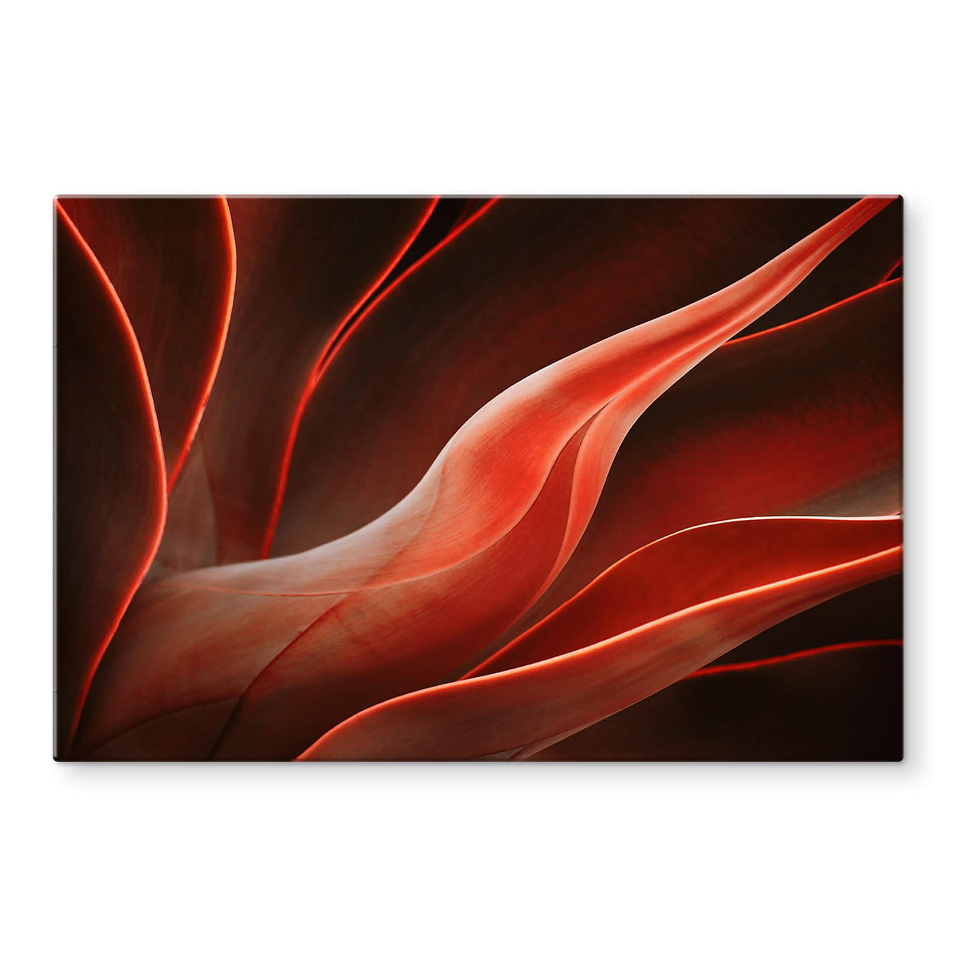Tableau sur verre Wechsler - plantes d'agave en automne