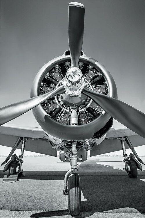 Poster The aeroplane - Propeller 61x91,5 cm