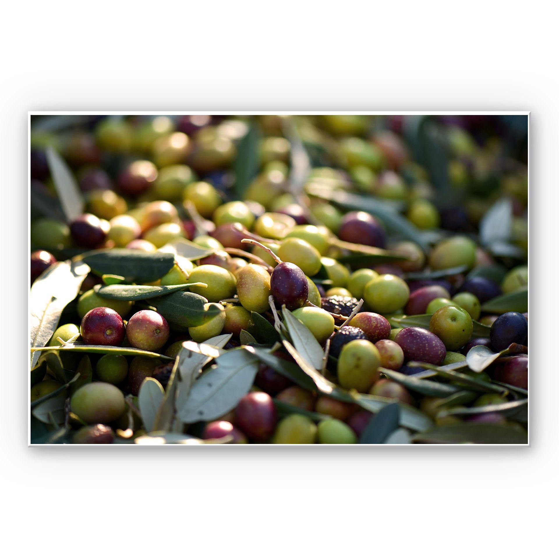 Tableau Forex - Olives de méditerannée