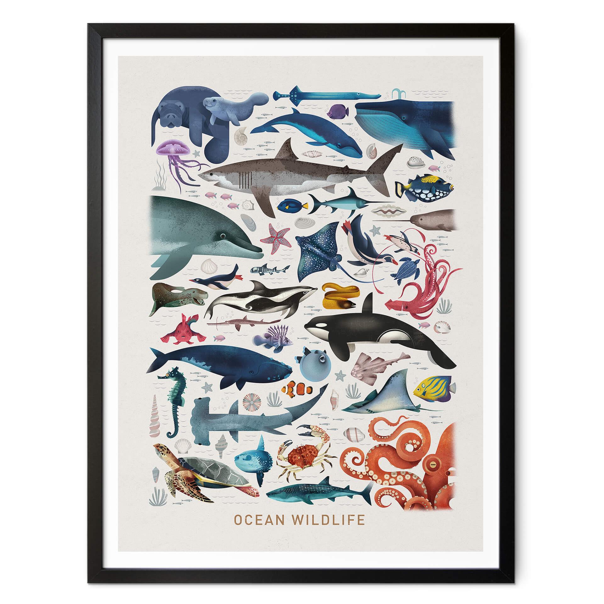 Póster Marrón - Fauna marina