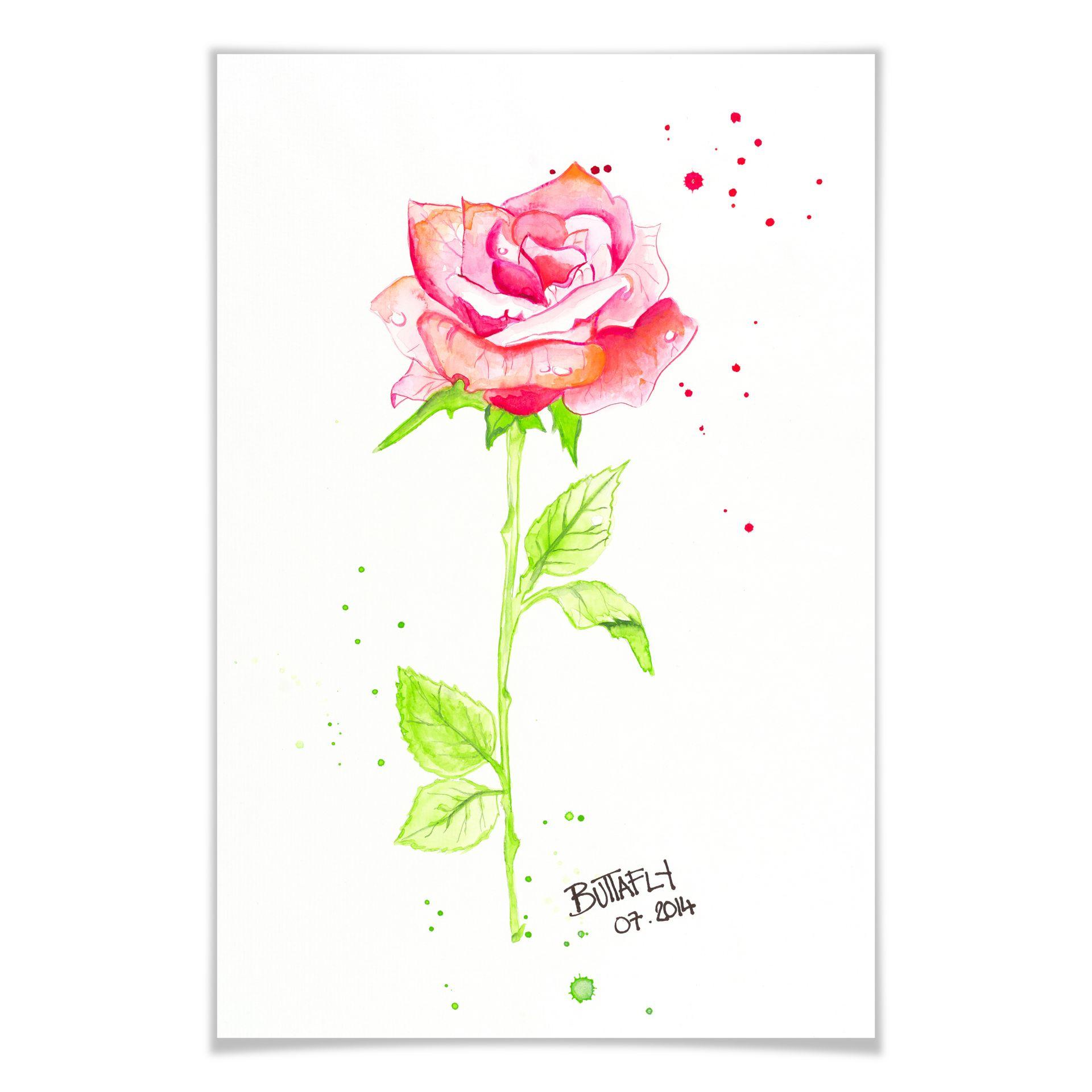 Poster - Buttafly - Rose