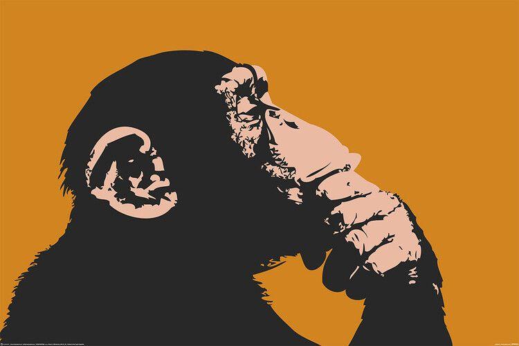 Plakat Monkey - Thinking, plakat (120 x 80 cm)