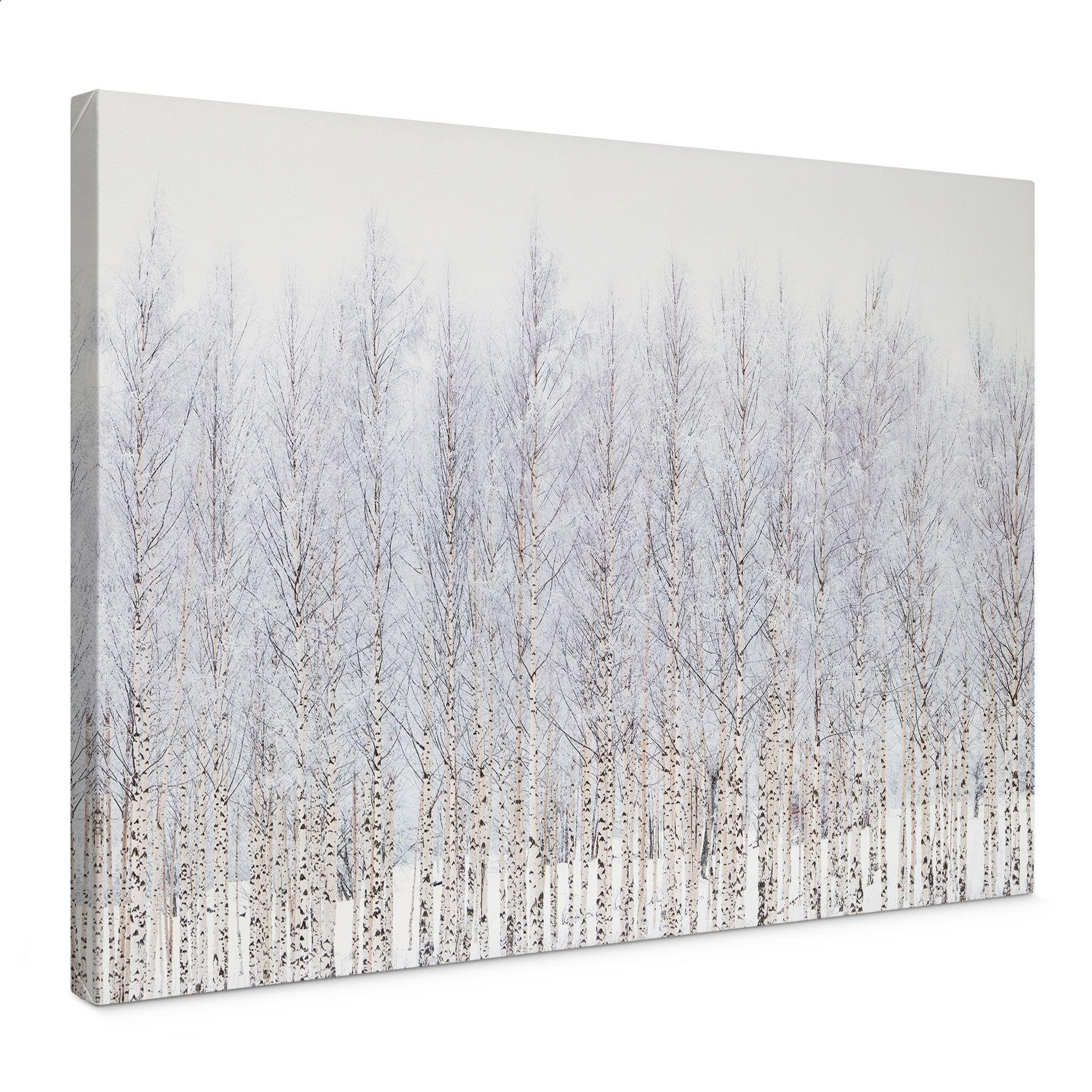 Lienzo Bosque de abedules en invierno - EMELIEmaria