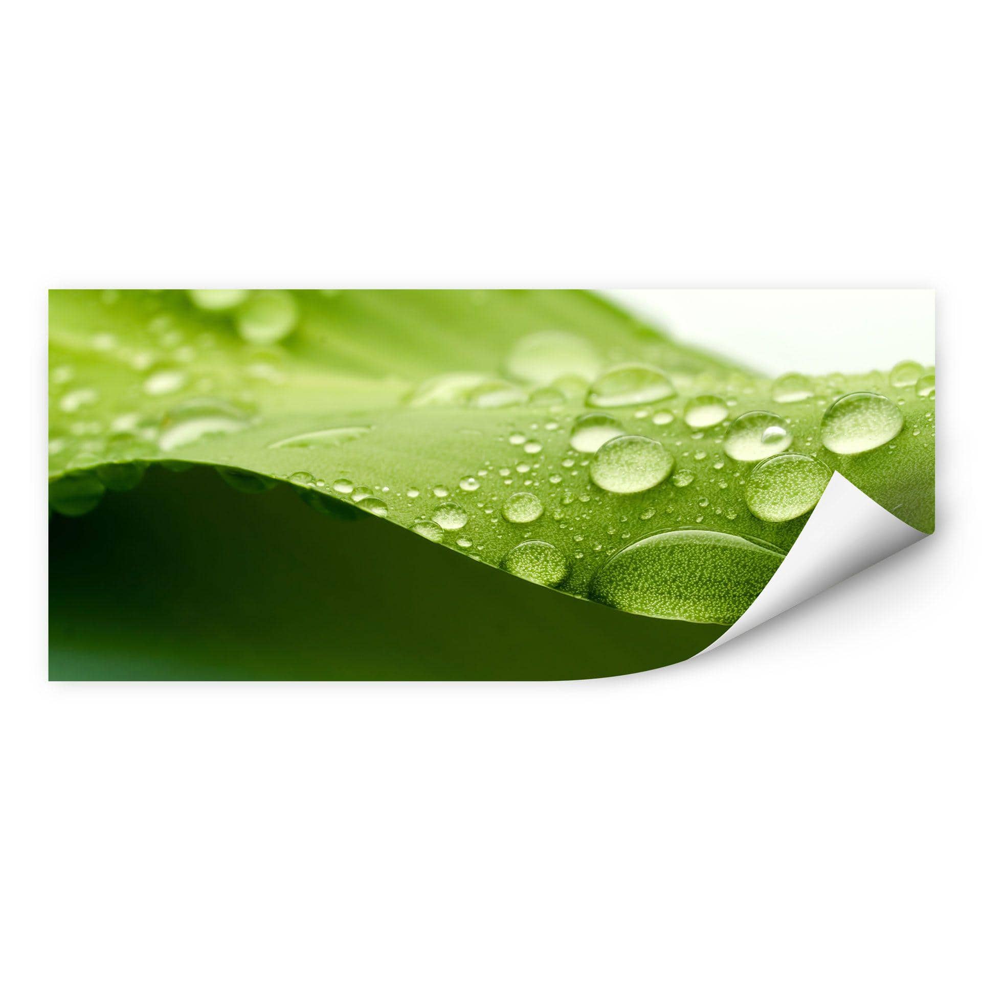 Poster autocollant - W - Nature 3
