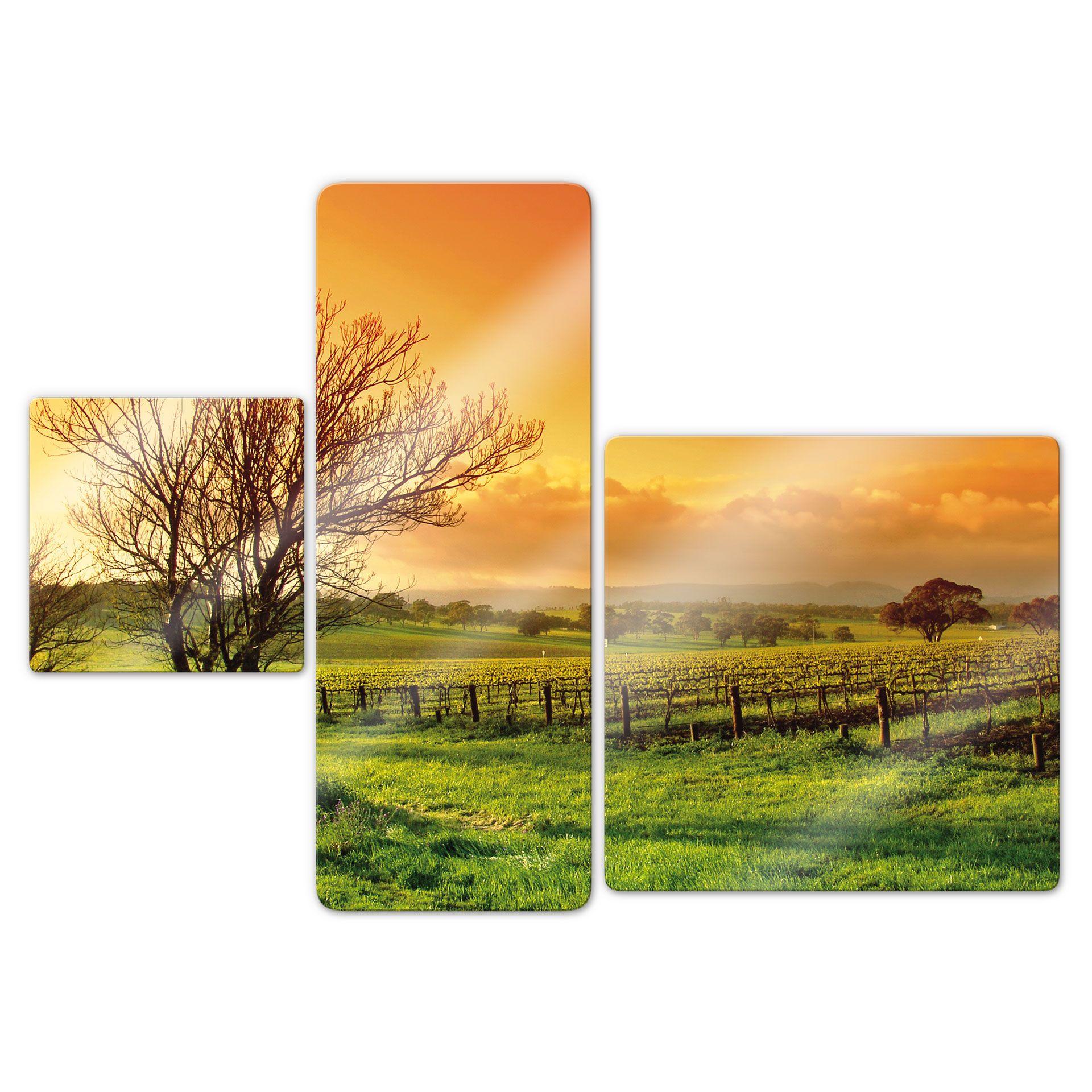 Tableau en verre - Vignobles (3 parties)