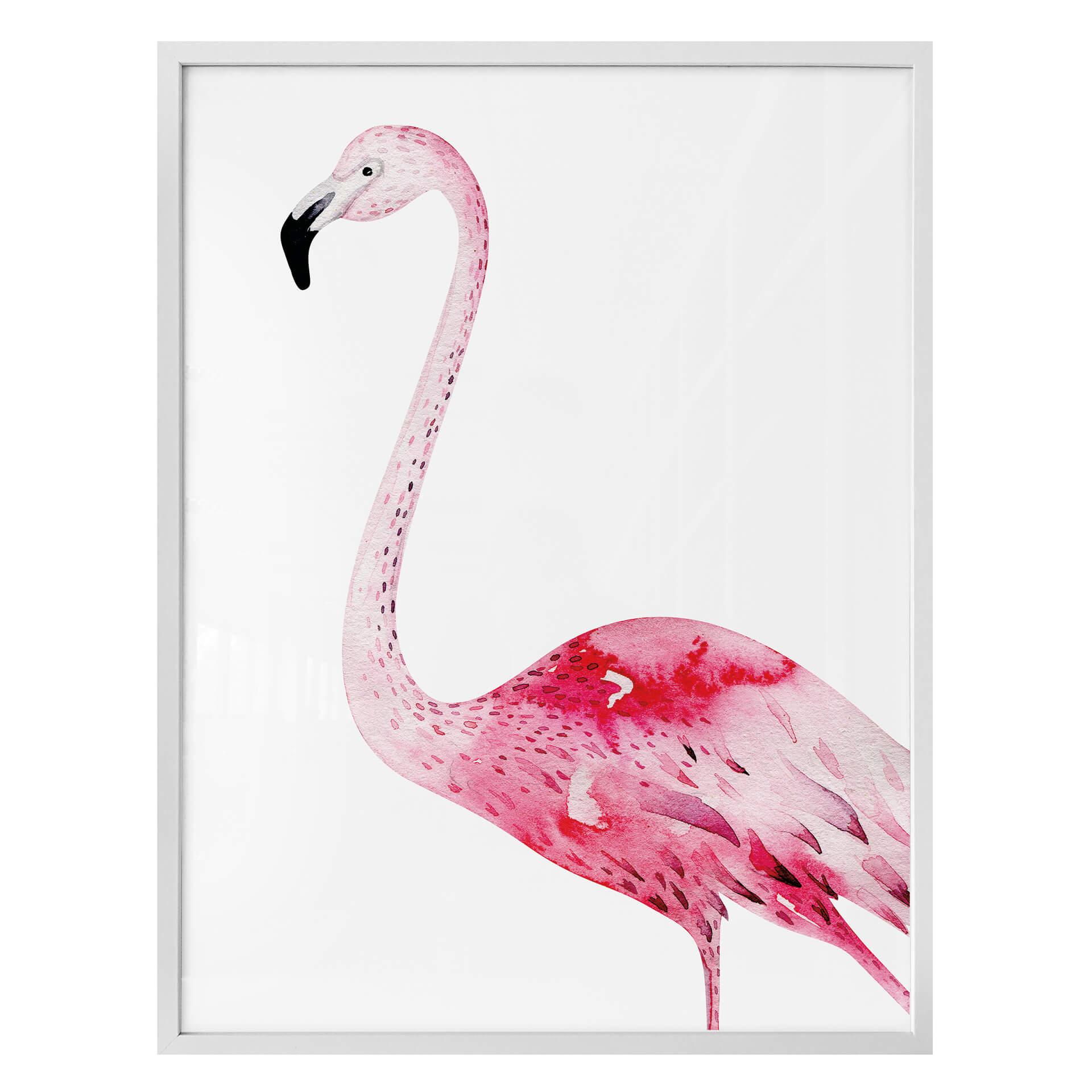 Póster Kvilis - Flamenco rosa 02