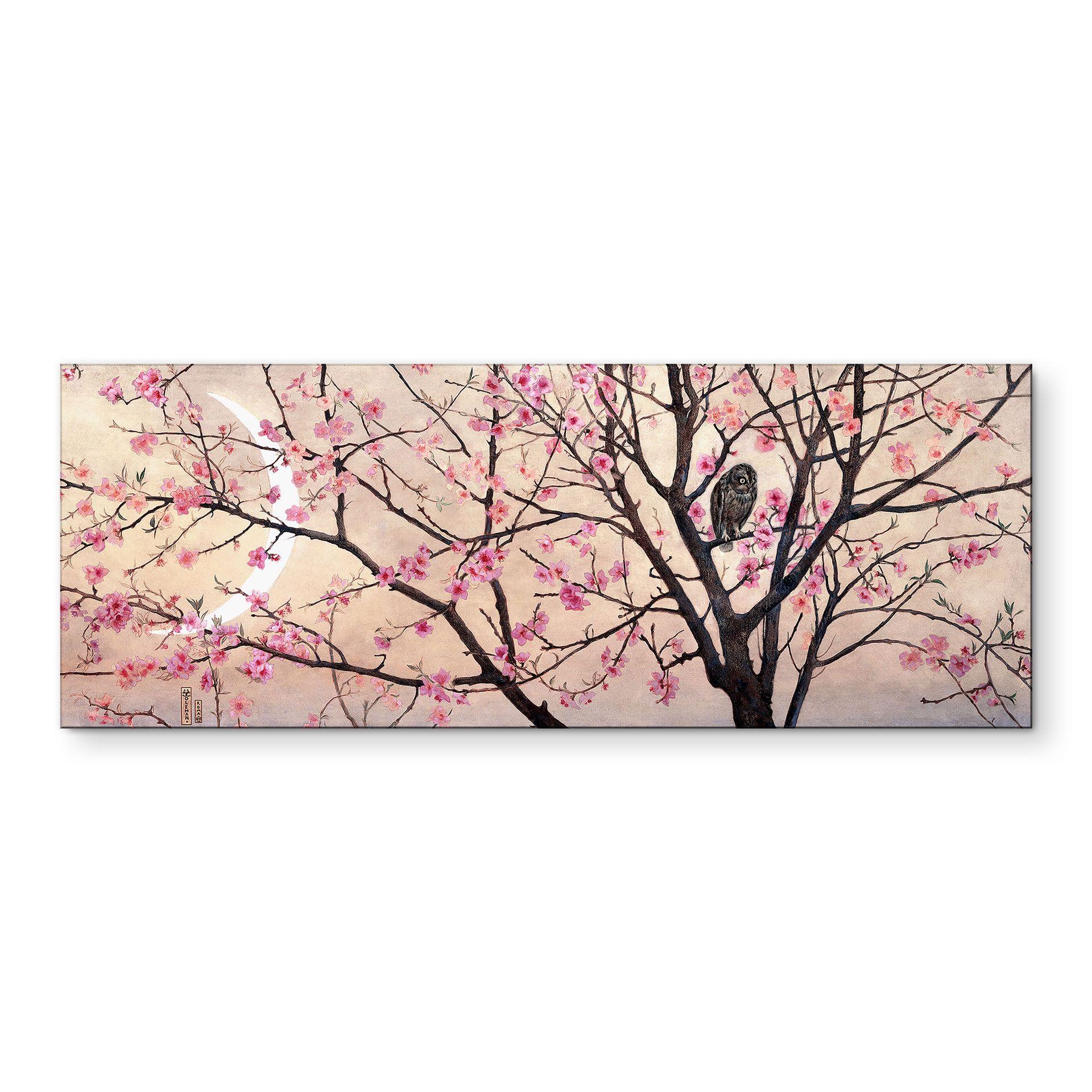 Billede Primavera - Coleman - aluminium dibond panorama – print på aluminium (Alu-Dibond)