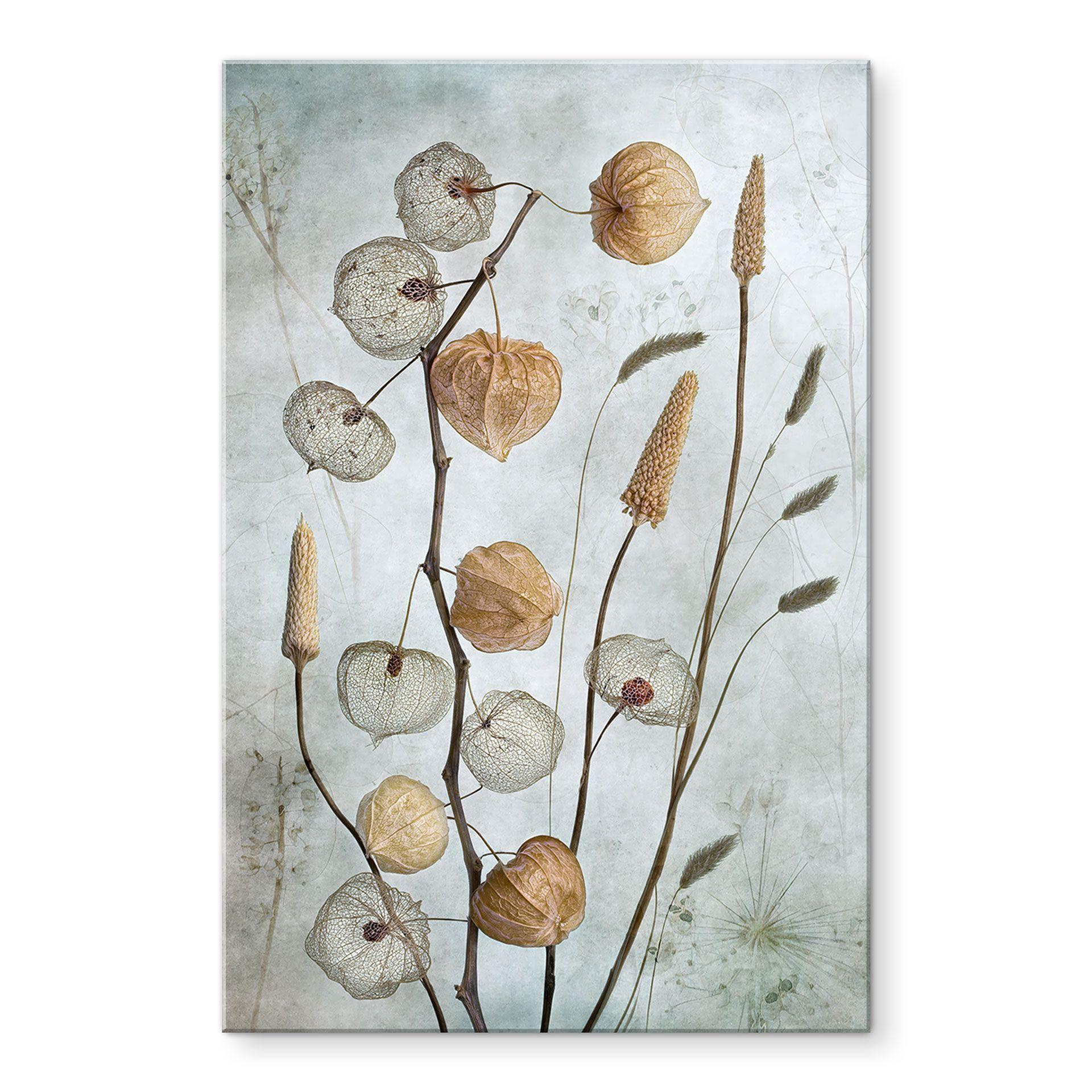 Akrylbillede Tørrede lanterneblomster - Disher