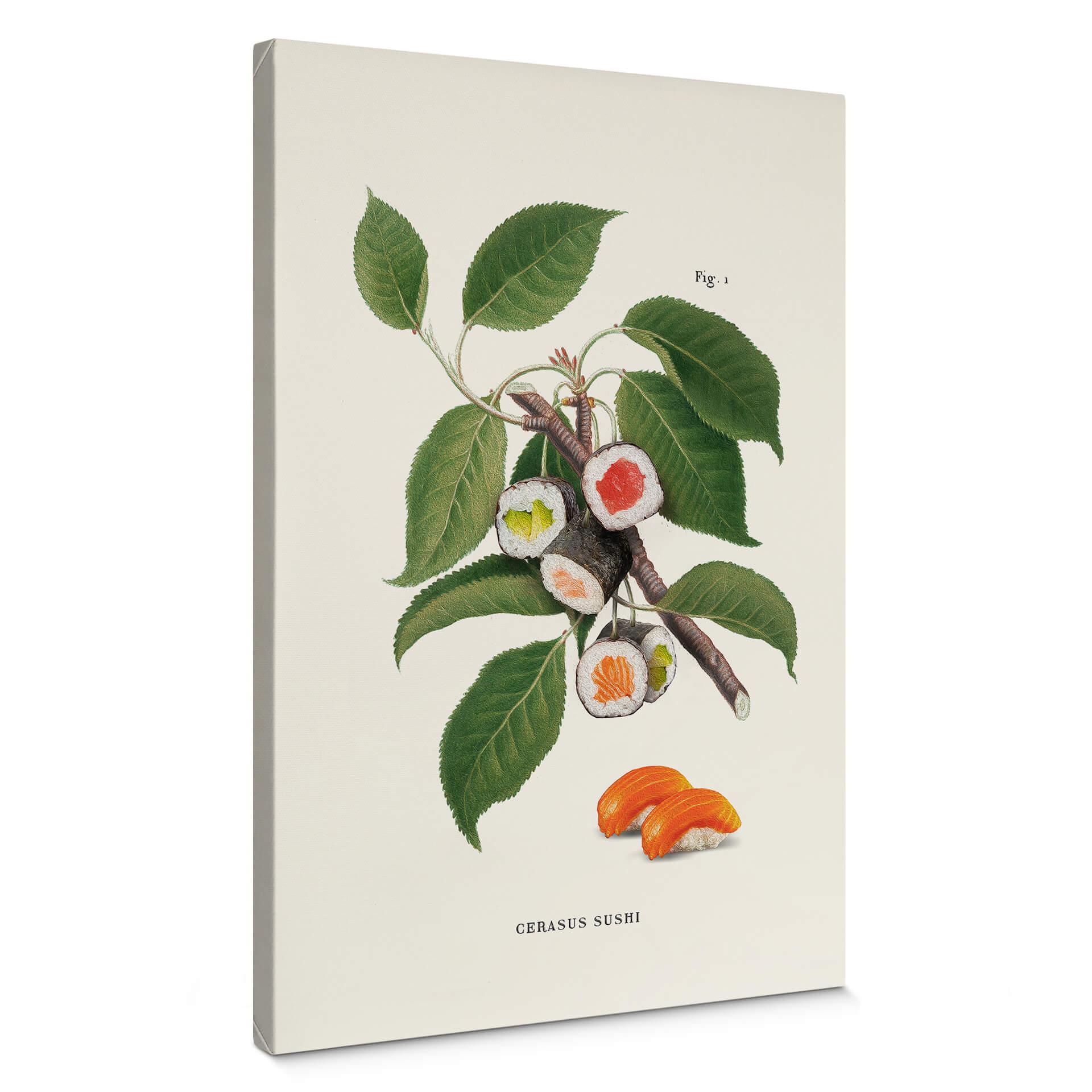Cuadro en lienzo Suelto - Planta de sushi