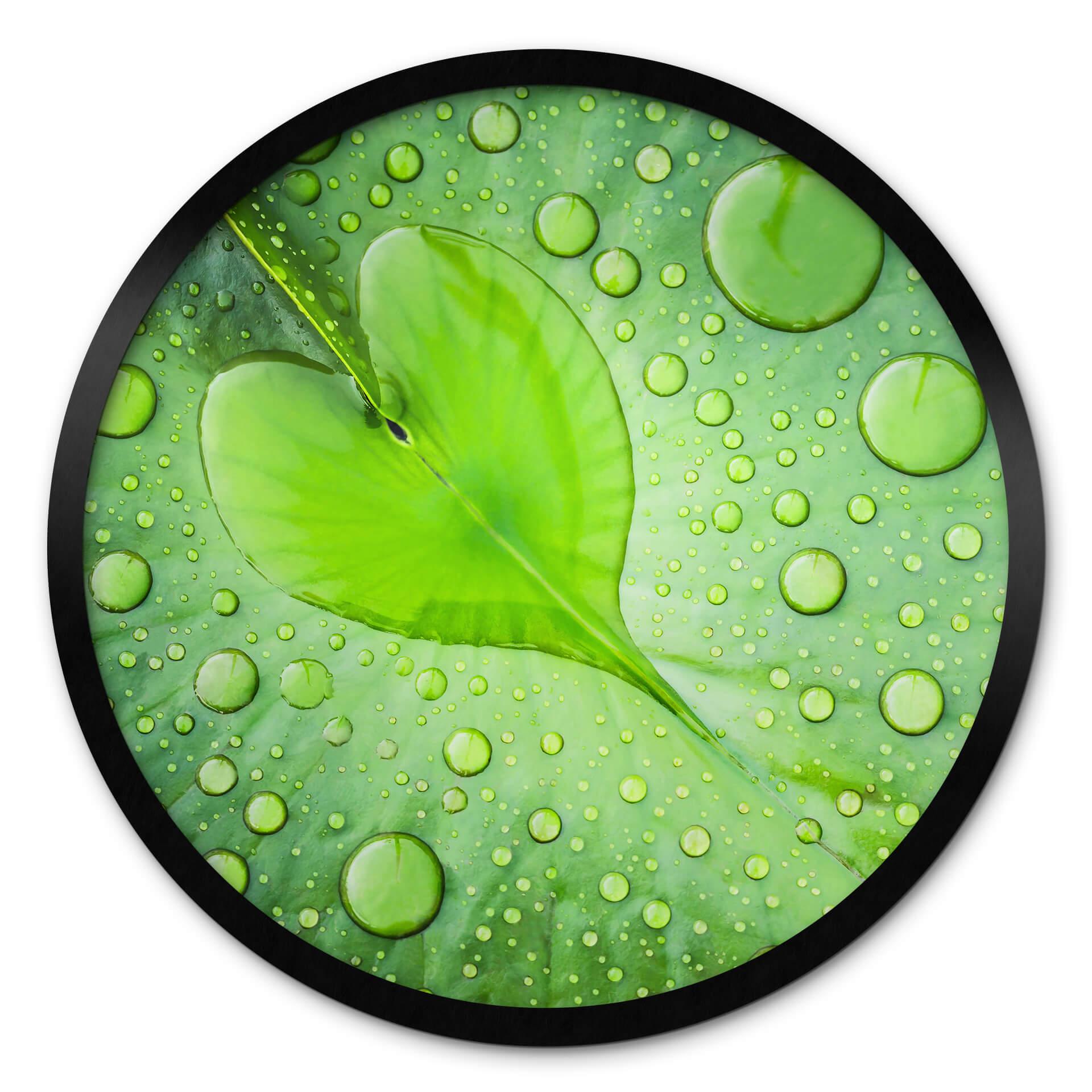 Póster Foto - Corazón de gotas de agua sobre hoja verde - Redondo