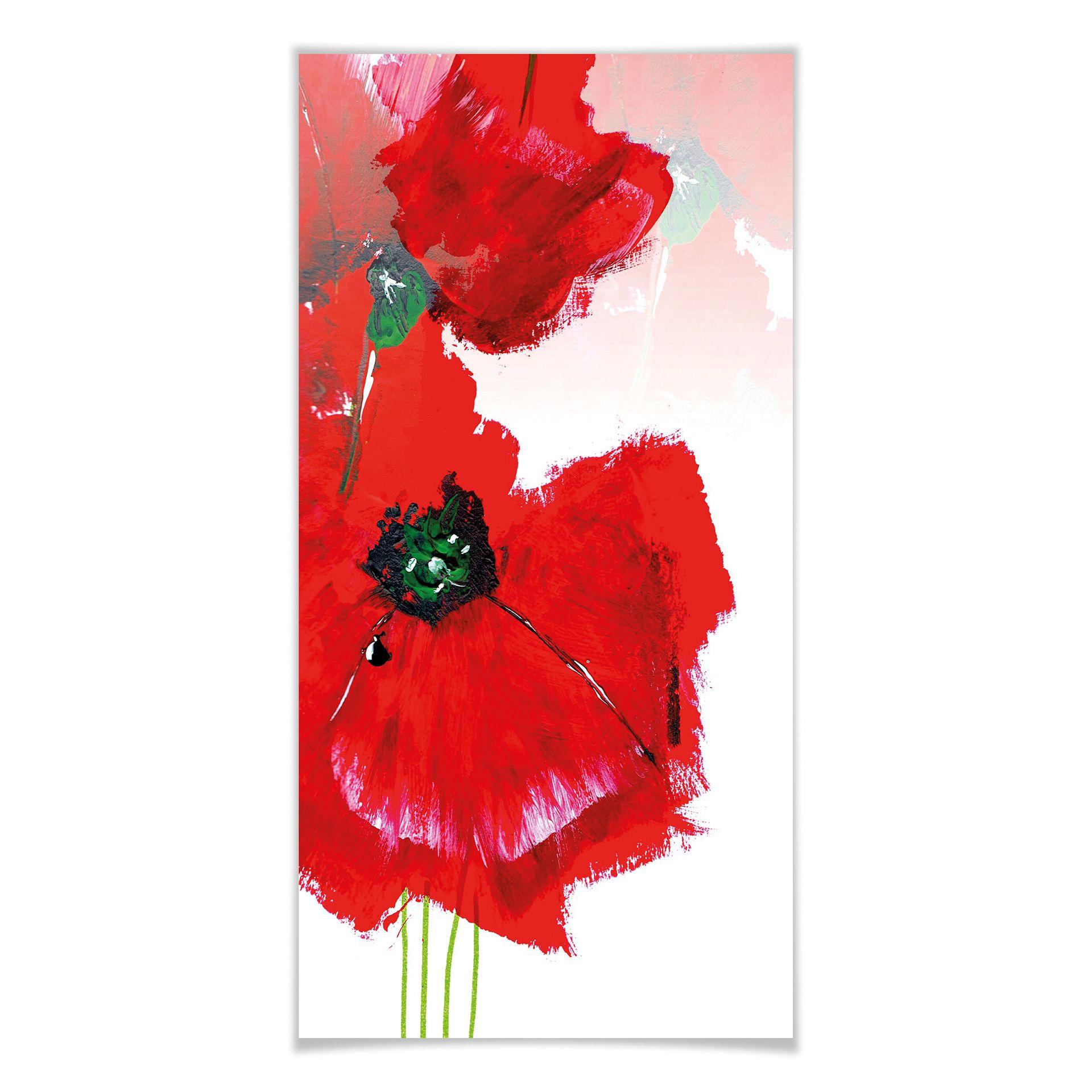 Póster Niksic - Papaver - Panorama